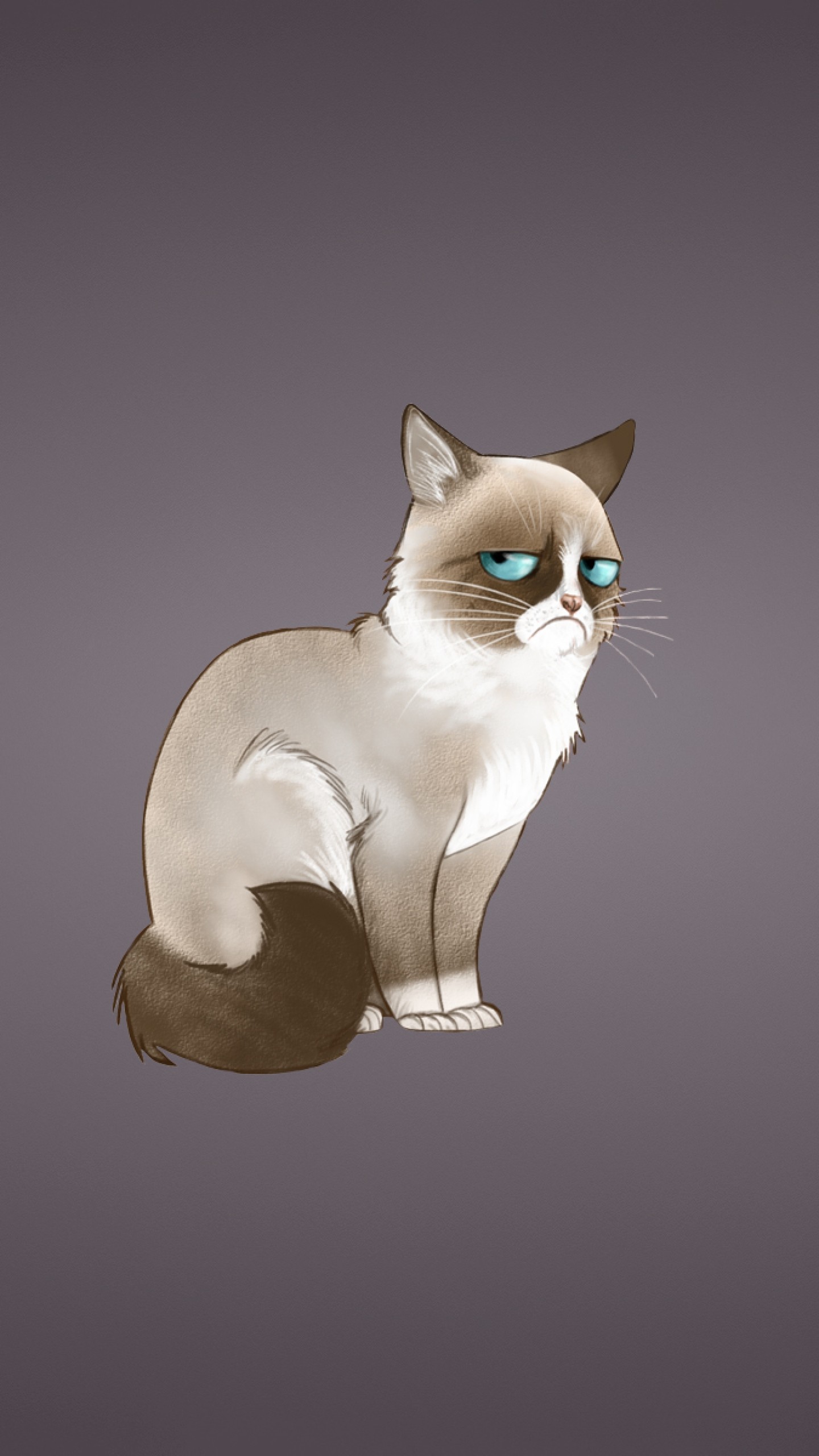 Preview wallpaper grumpy cat, meme, cat 1440×2560