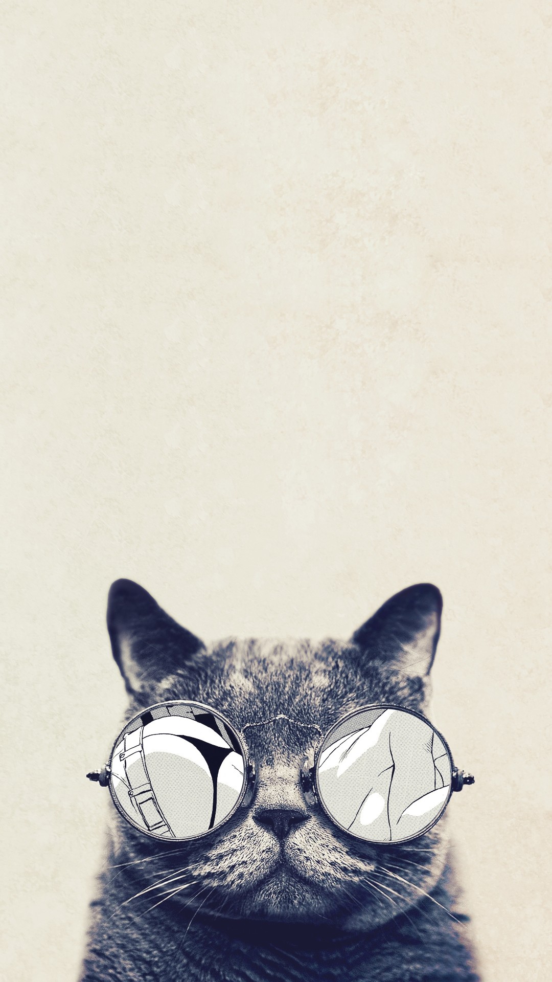 Cool cat Wallpapers Download  MobCup