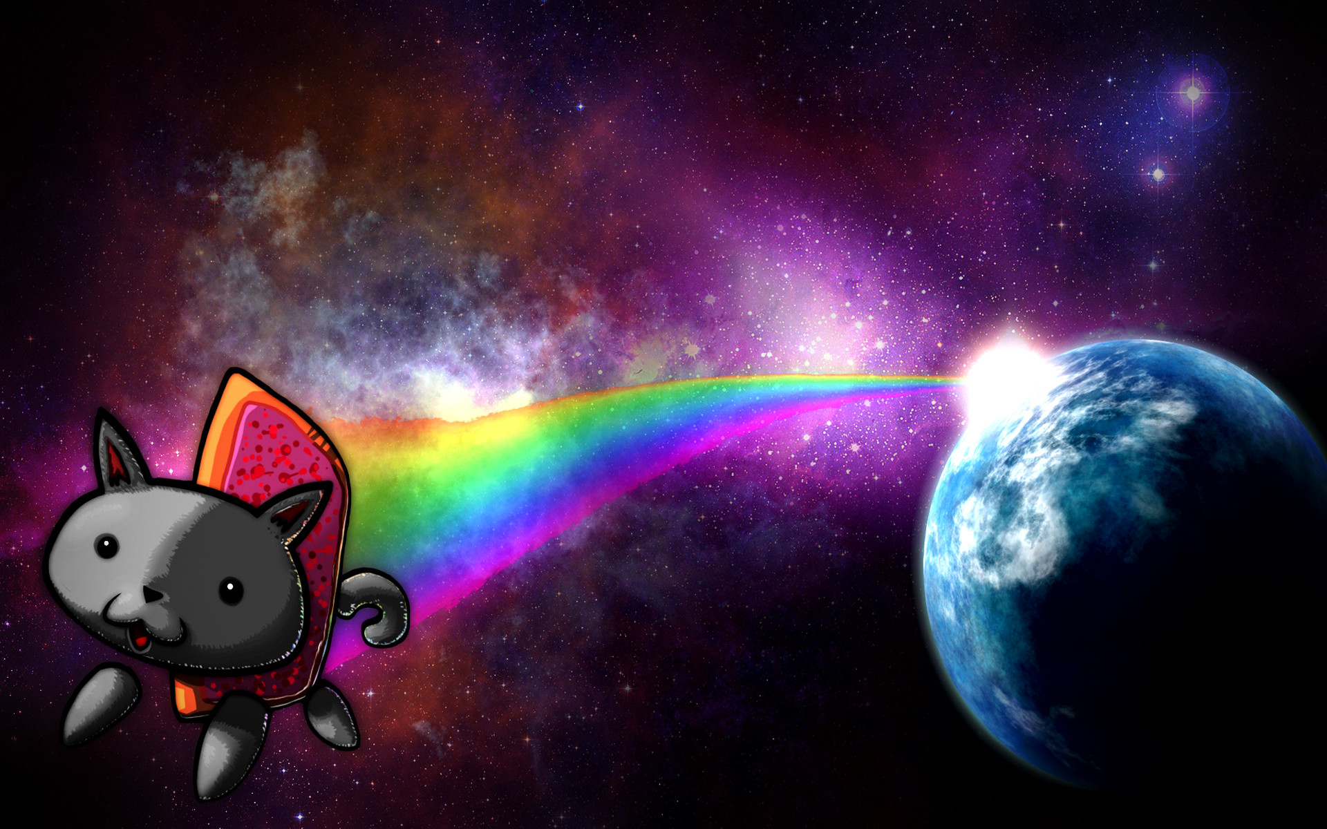 Space Cat Wallpaper Picture …