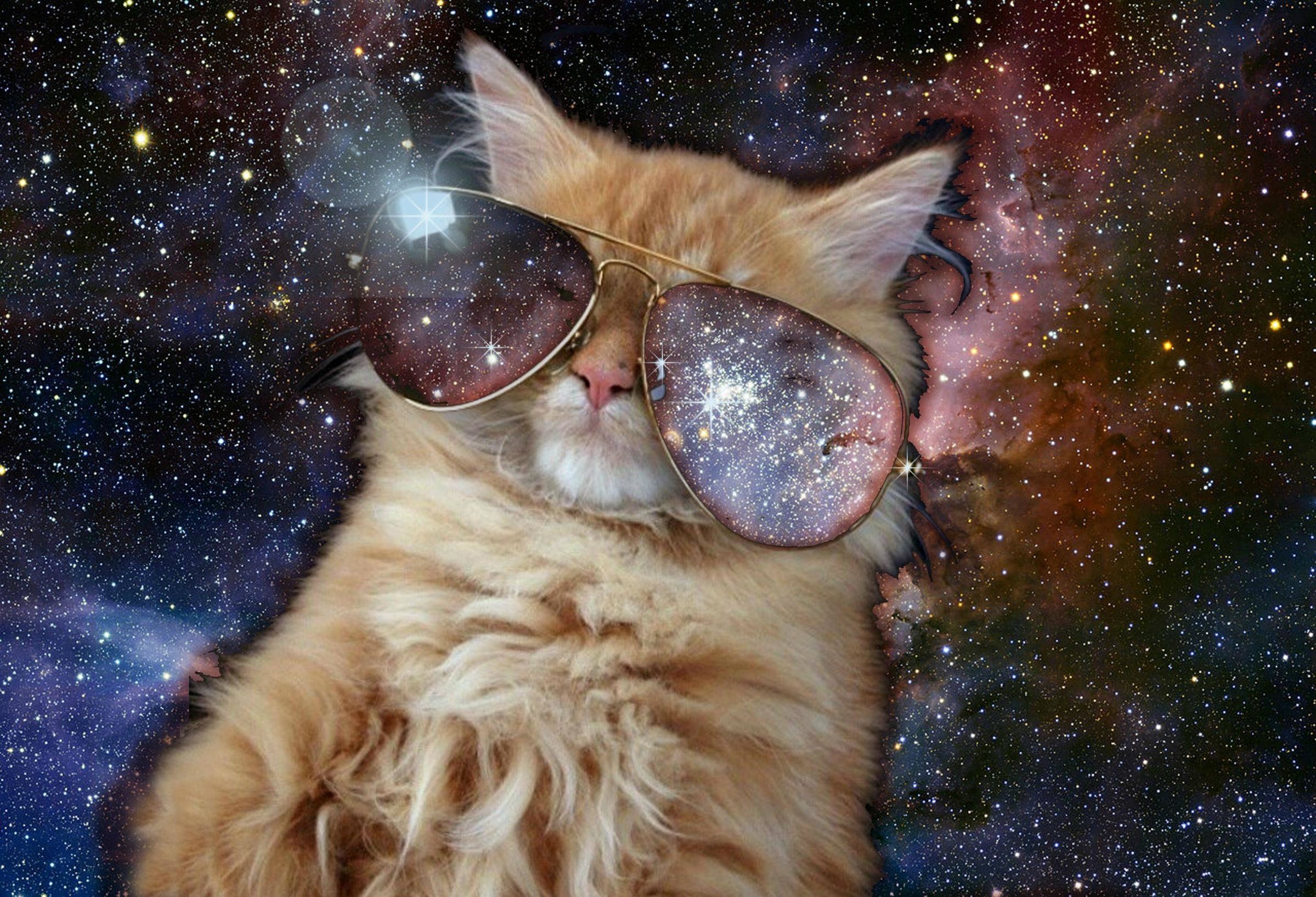 Space Cat Tumblr Space cat