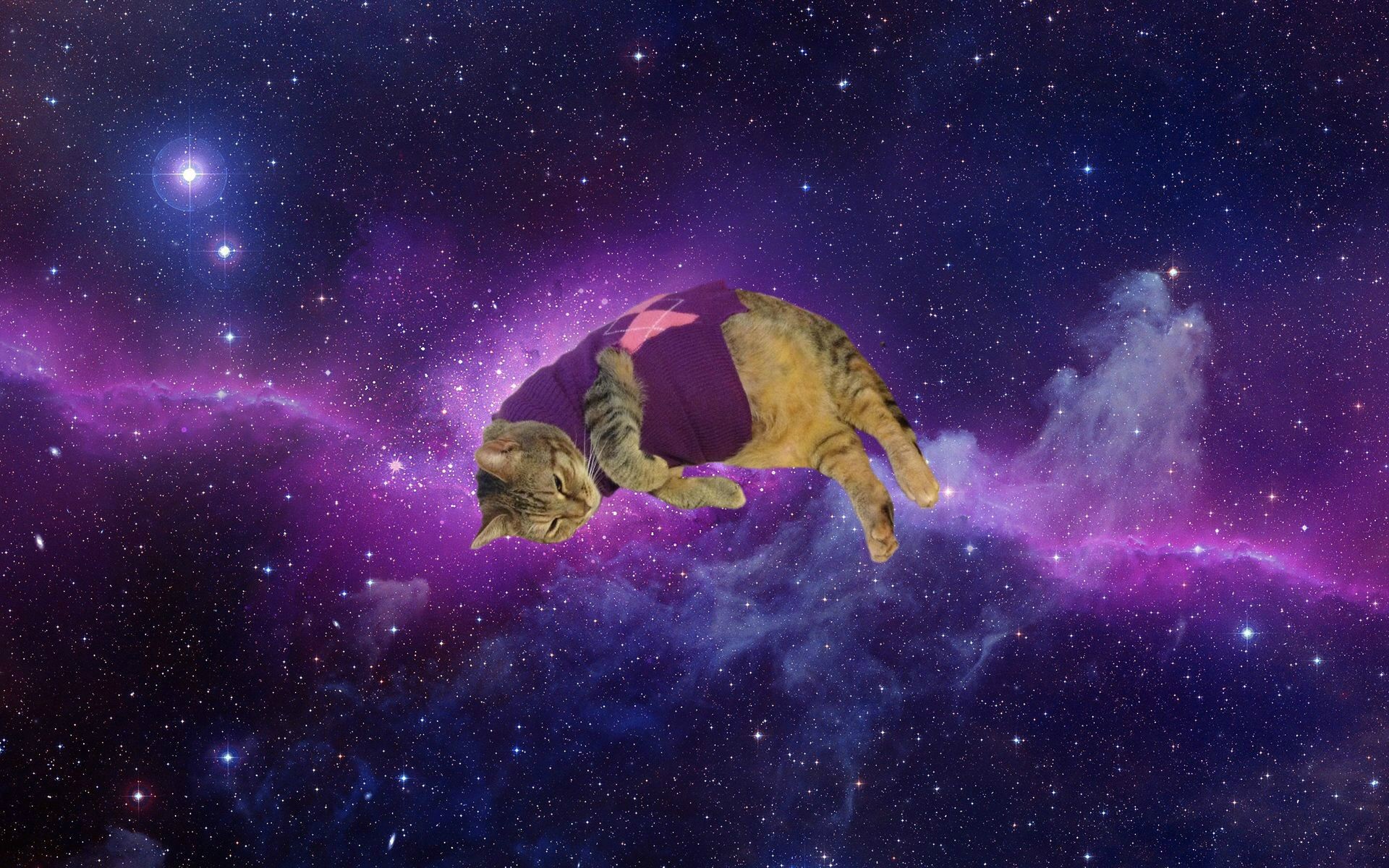 Space Cat