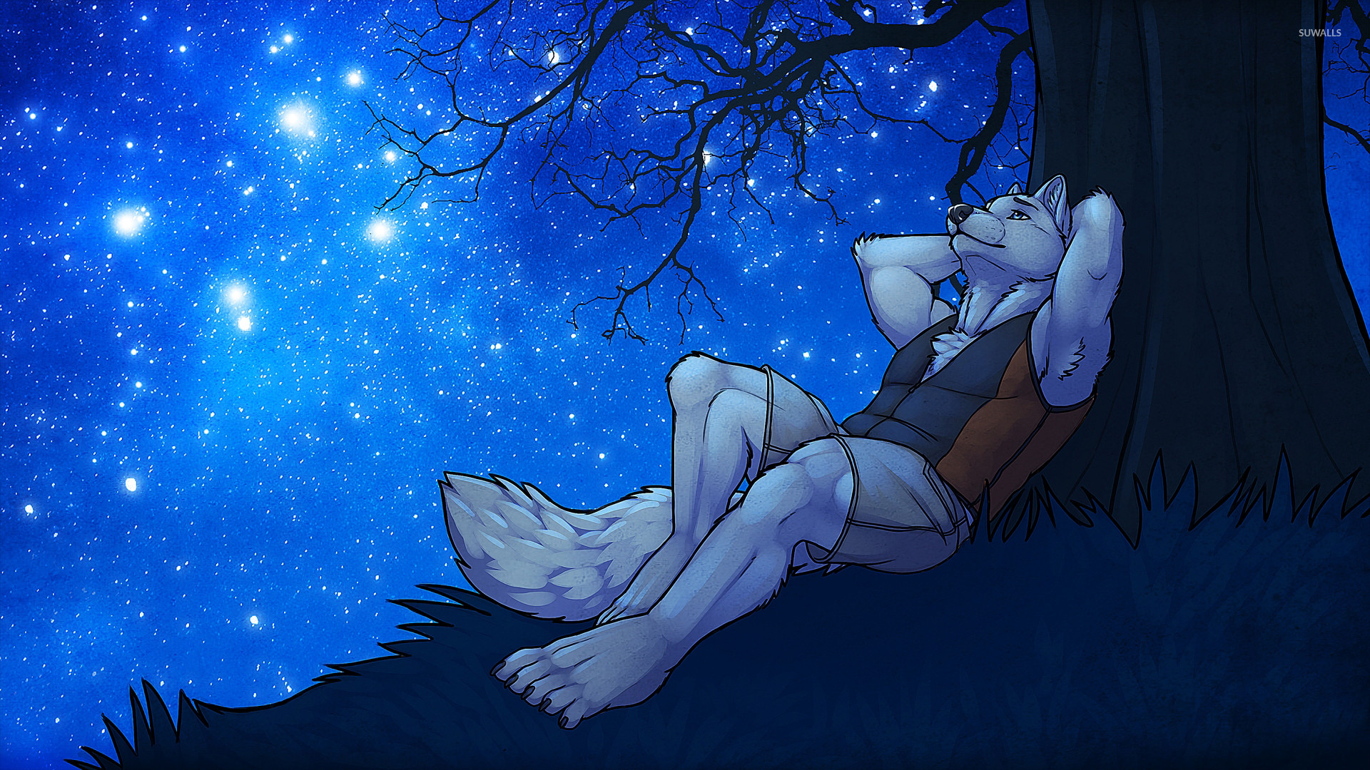 Romantic werewolf gazing at the starry sky wallpaper