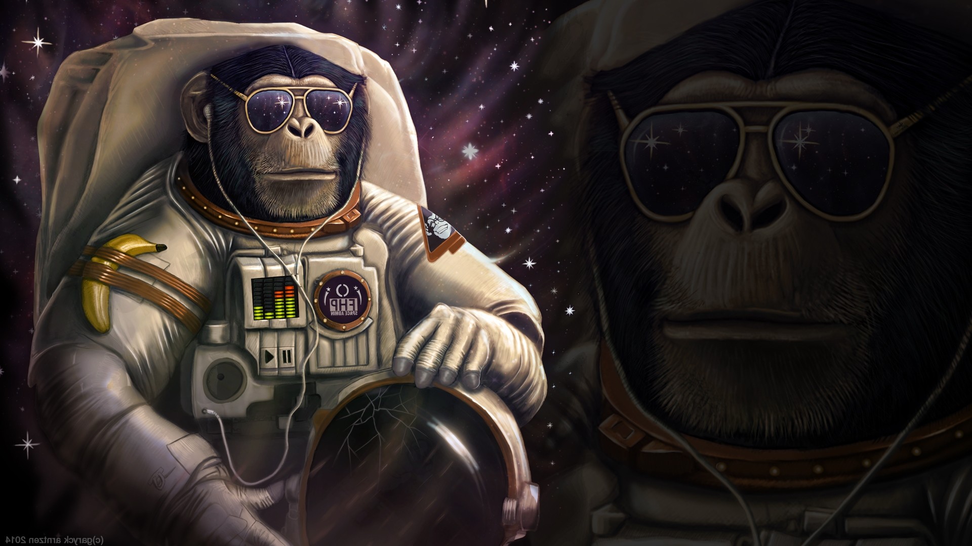 Space monkey 1080P 2K 4K 5K HD wallpapers free download  Wallpaper Flare