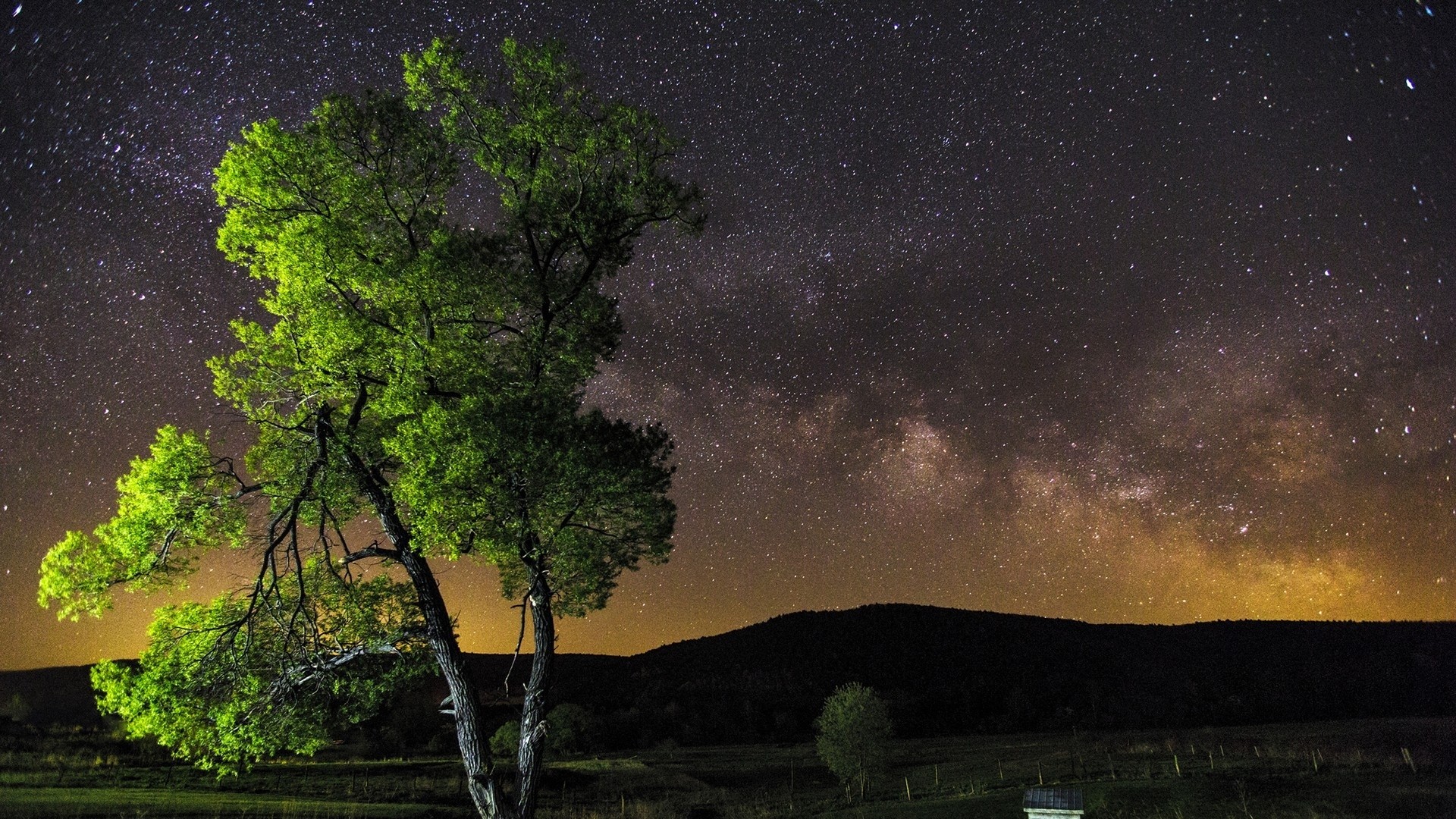 Wallpaper night, sky, stars, tree