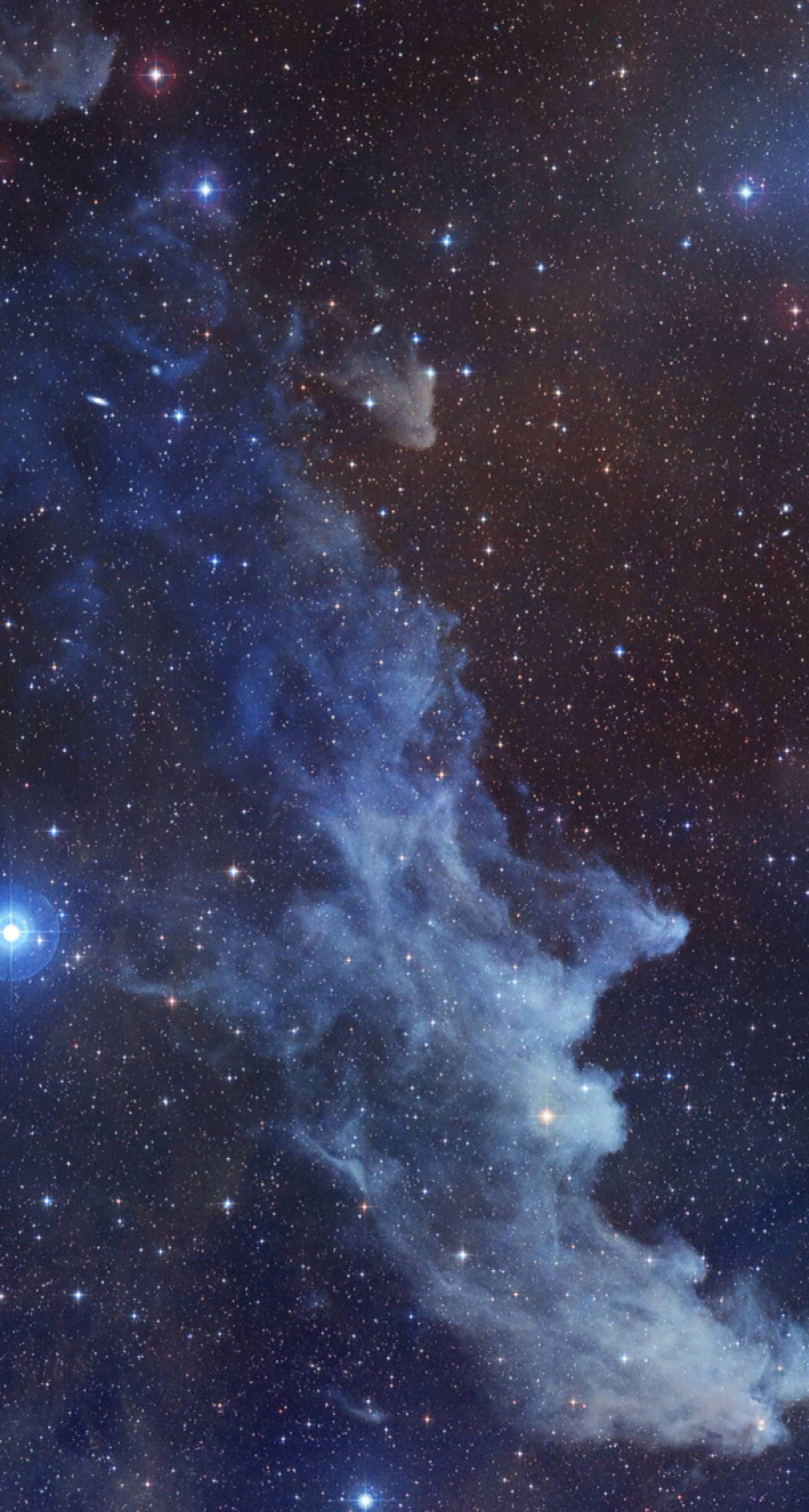 Witch's Cackle Credit: NASA/STScI Digitized Sky Survey/Noel CarboniThe  Witch Head Nebula in the constellation Orion.