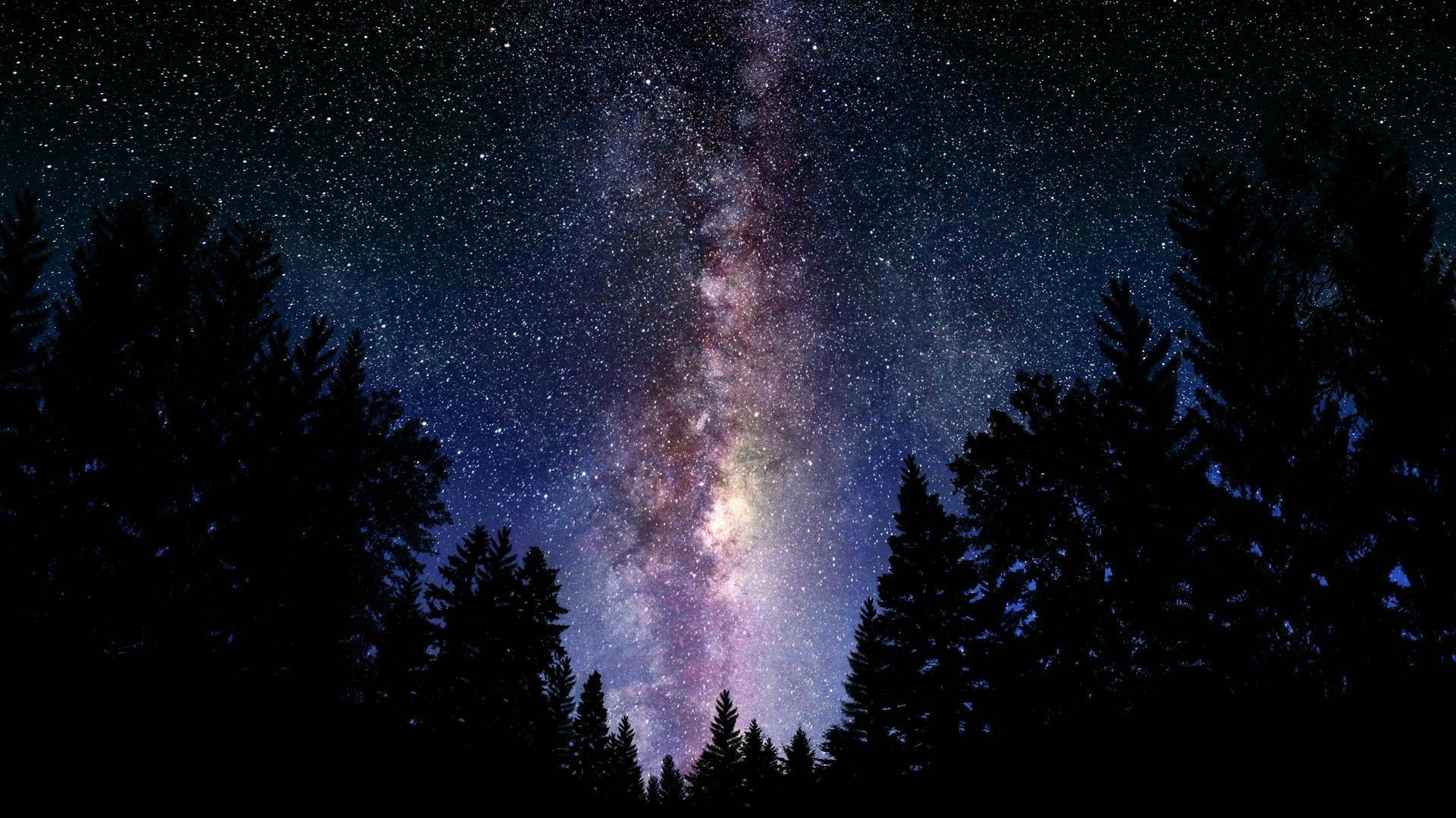 A Forest Of Stars HD Wide Wallpaper for Widescreen 39 Wallpapers