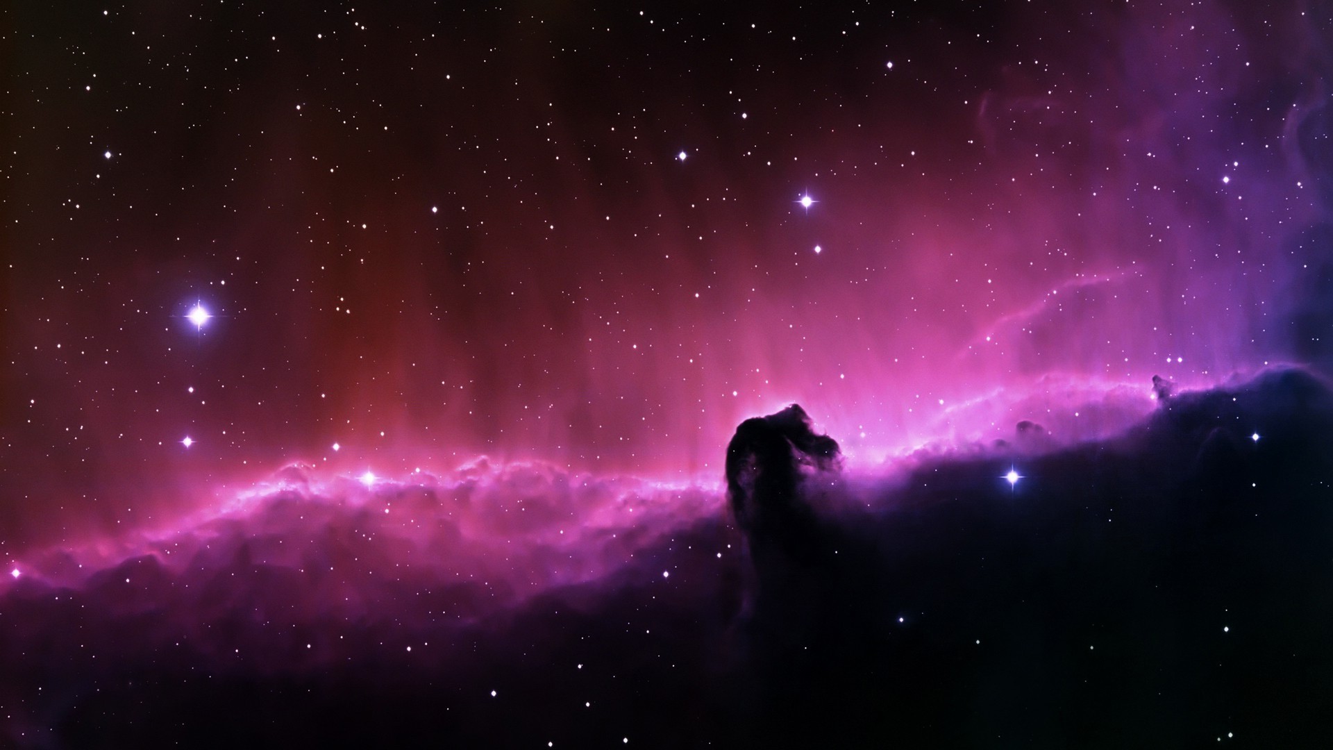 Horsehead Nebula, Nebula, Space, Stars Wallpapers HD / Desktop and Mobile Backgrounds