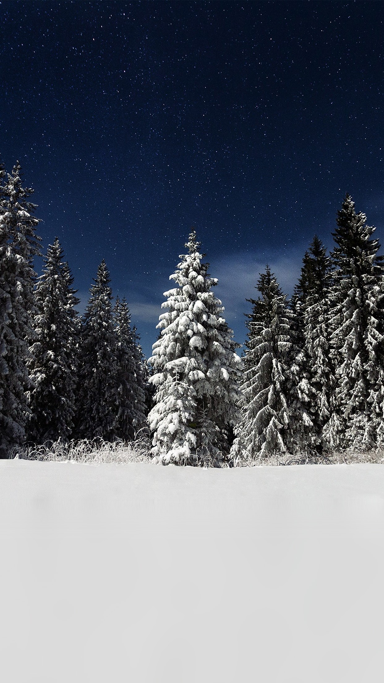 Snow Winter Wood Mountain Sky Star Night