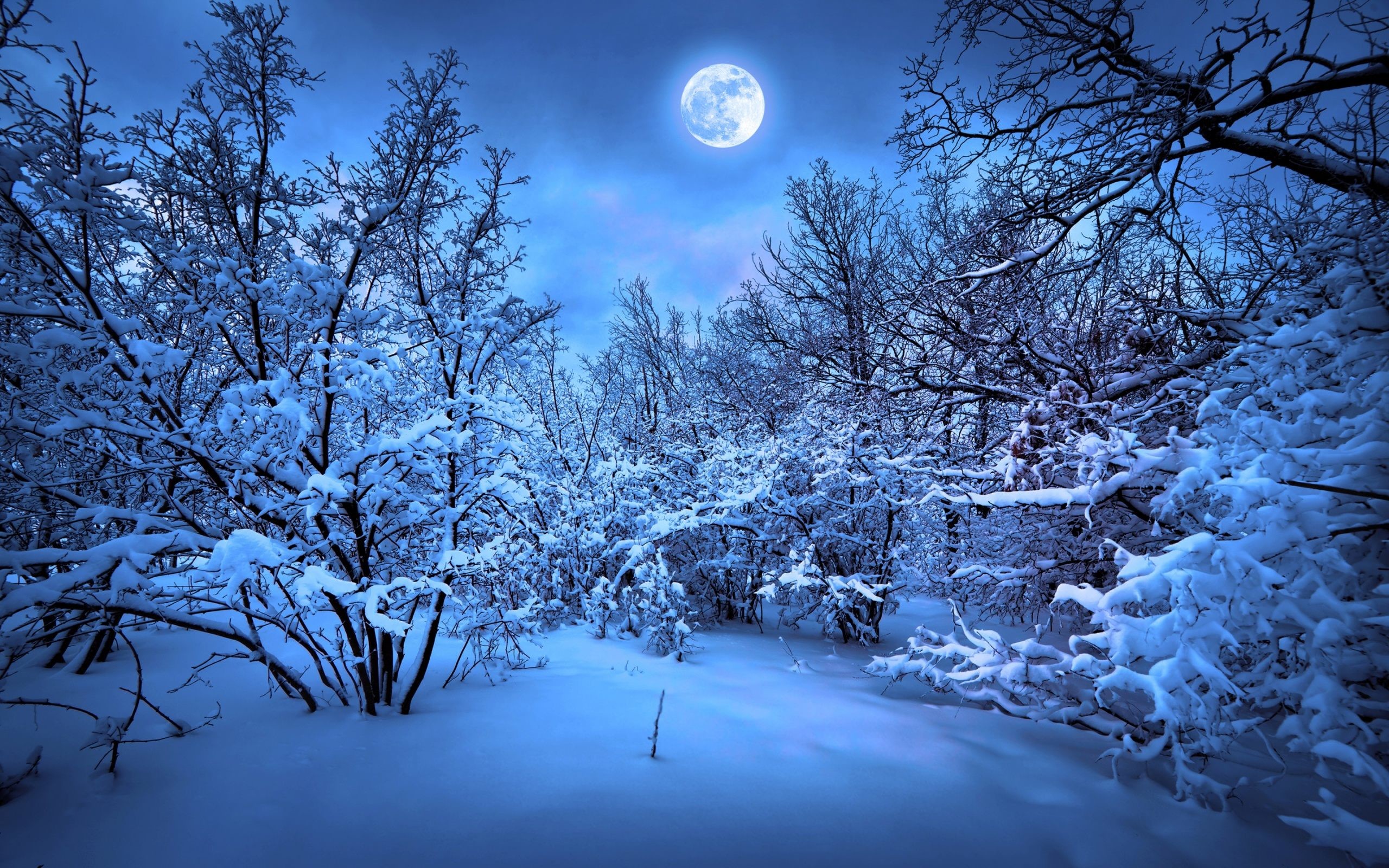 Romantic Winter Wallpaper Images with High Resolution Wallpaper