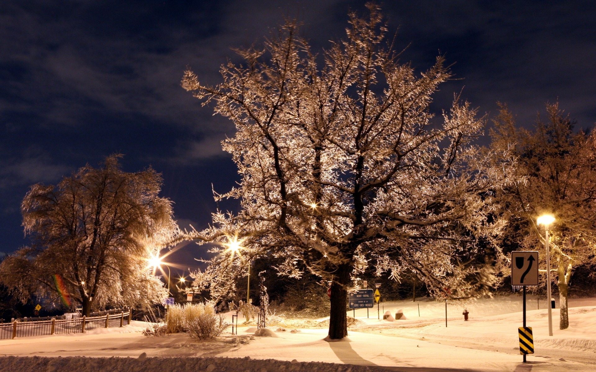 Winter Night in the Park HD Wallpaper