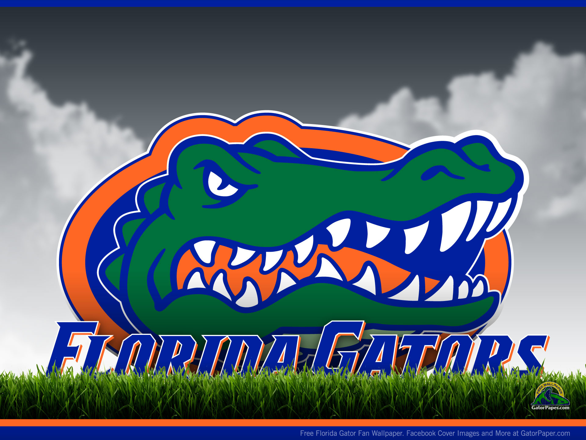 Florida Gators – Field View GatorPaper – Free Sports Desktop
