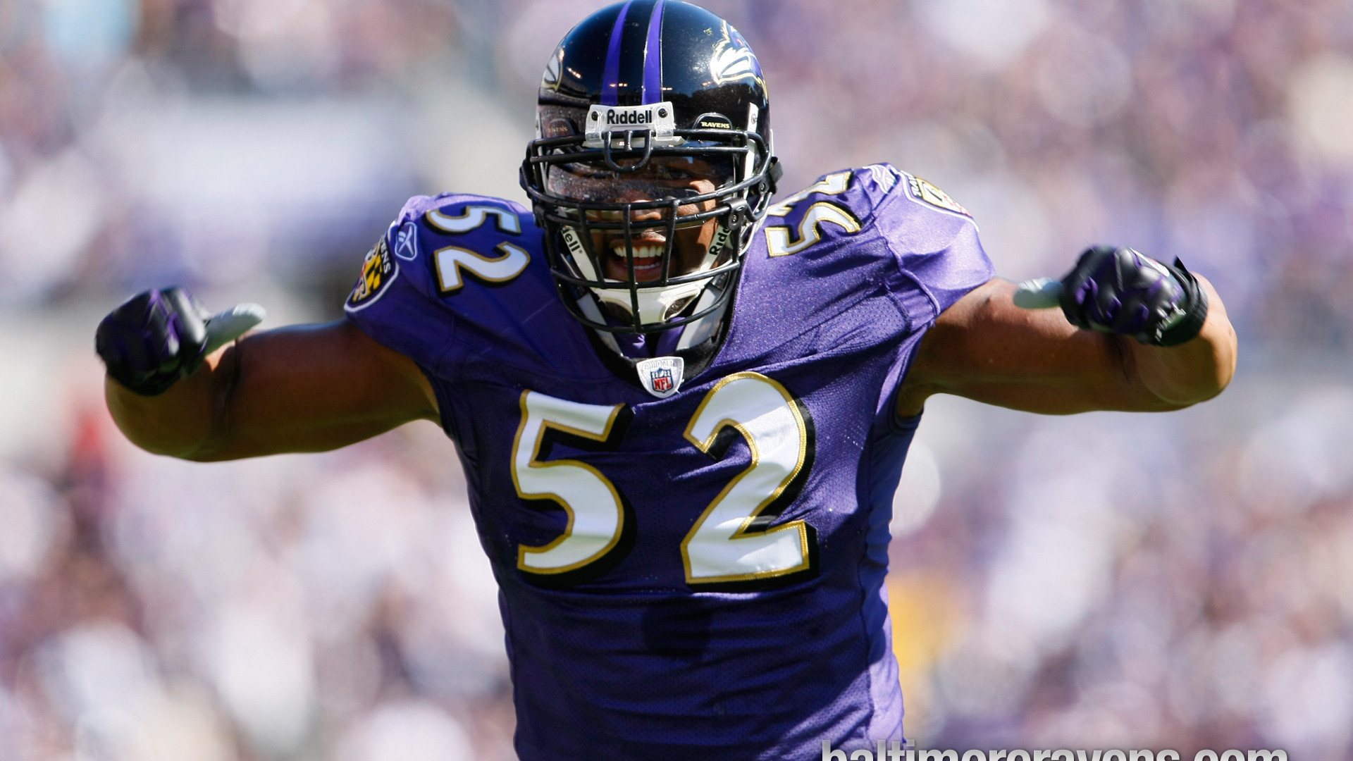 iPhone Wallpapers: Ray Lewis iPhone Wallpapers 1024Ã 512 Ray Lewis Wallpape...