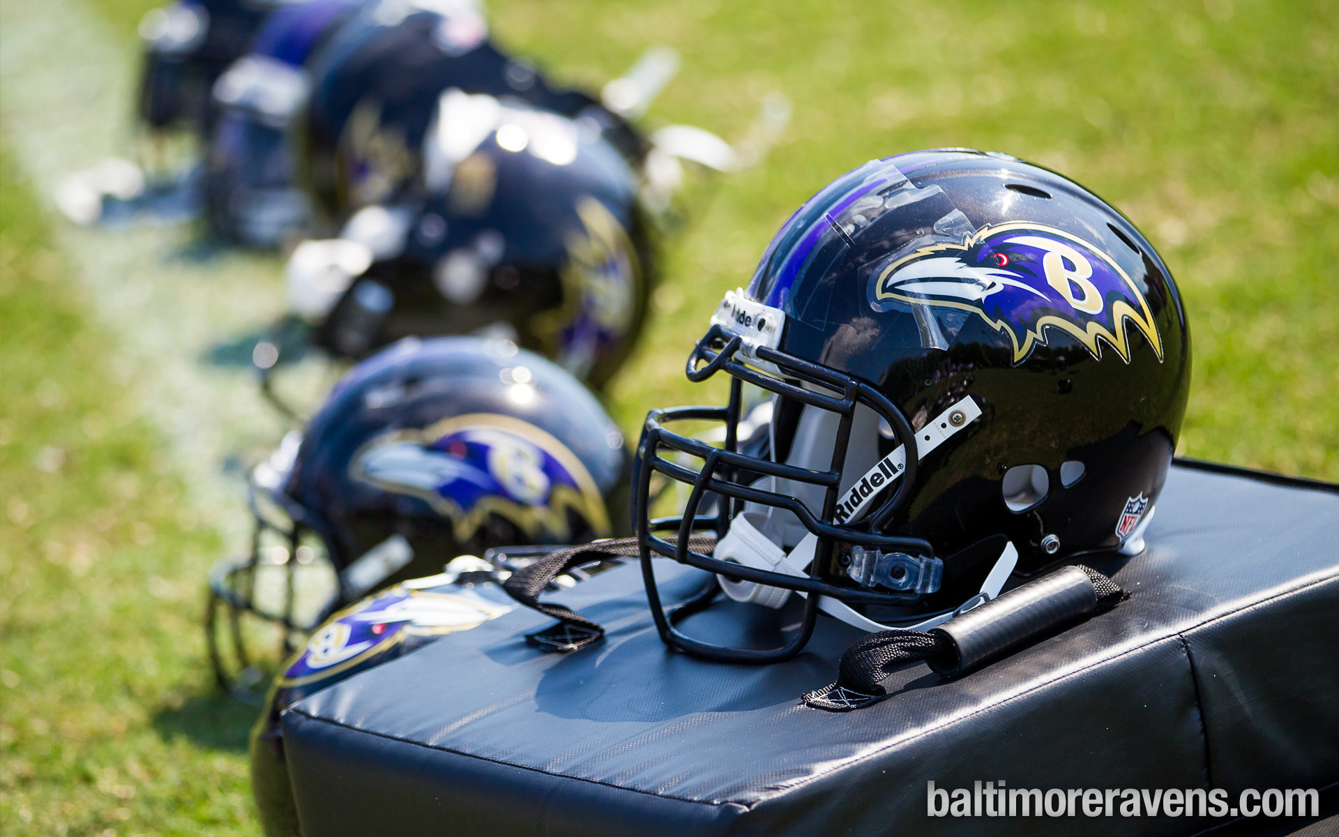 Baltimore Ravens Ravenstown Downloads