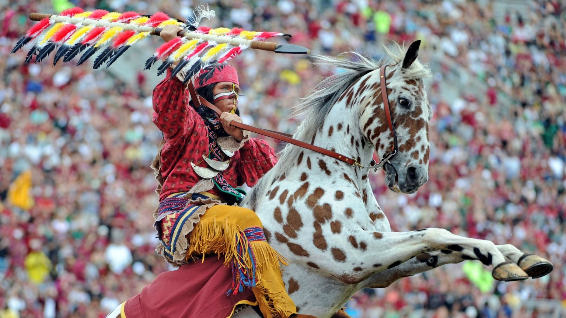 Florida State Seminoles Tailgating Tradition CampusInsiders – YouTube