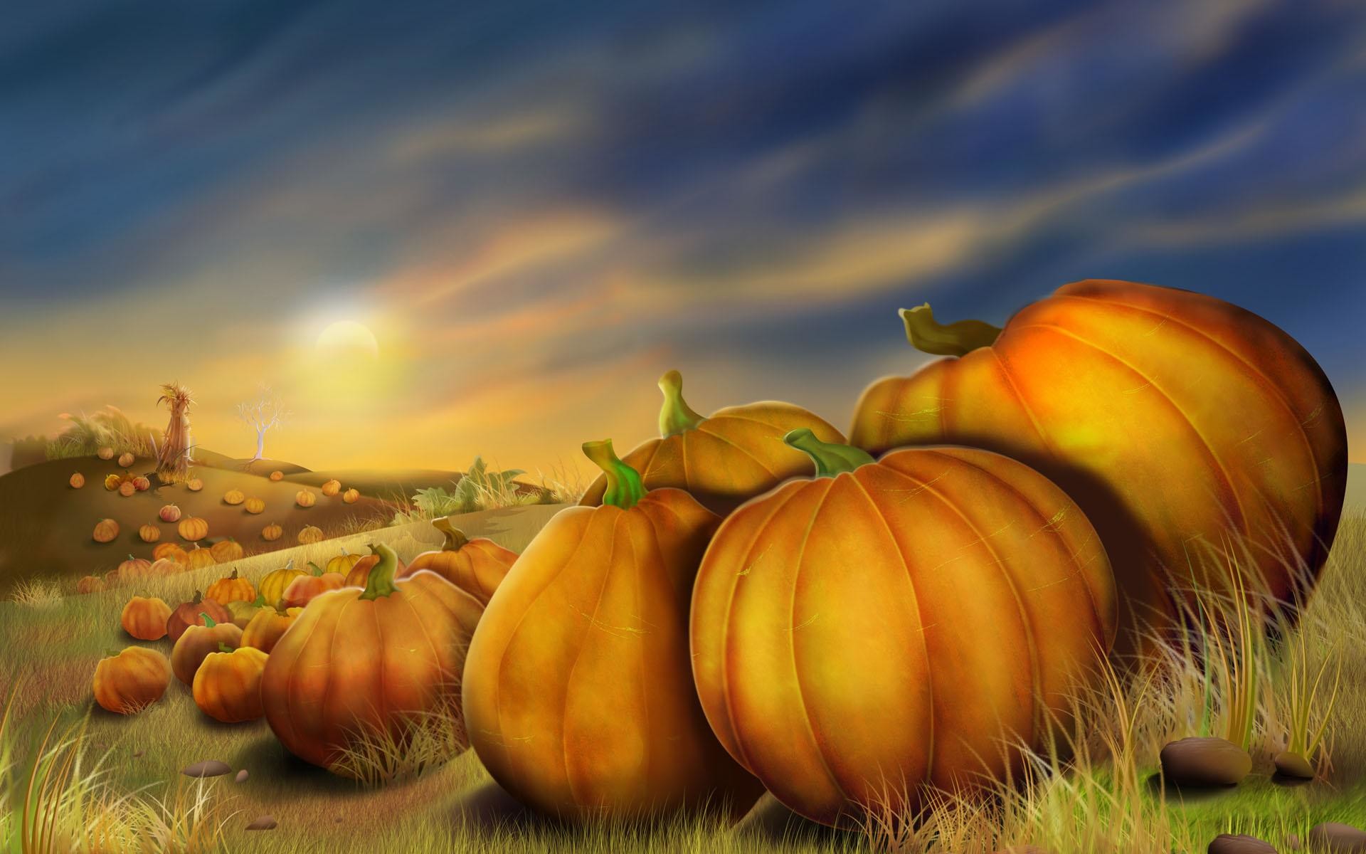 Thanksgiving Pumpkins | Desktop Wallpaper | Pinterest