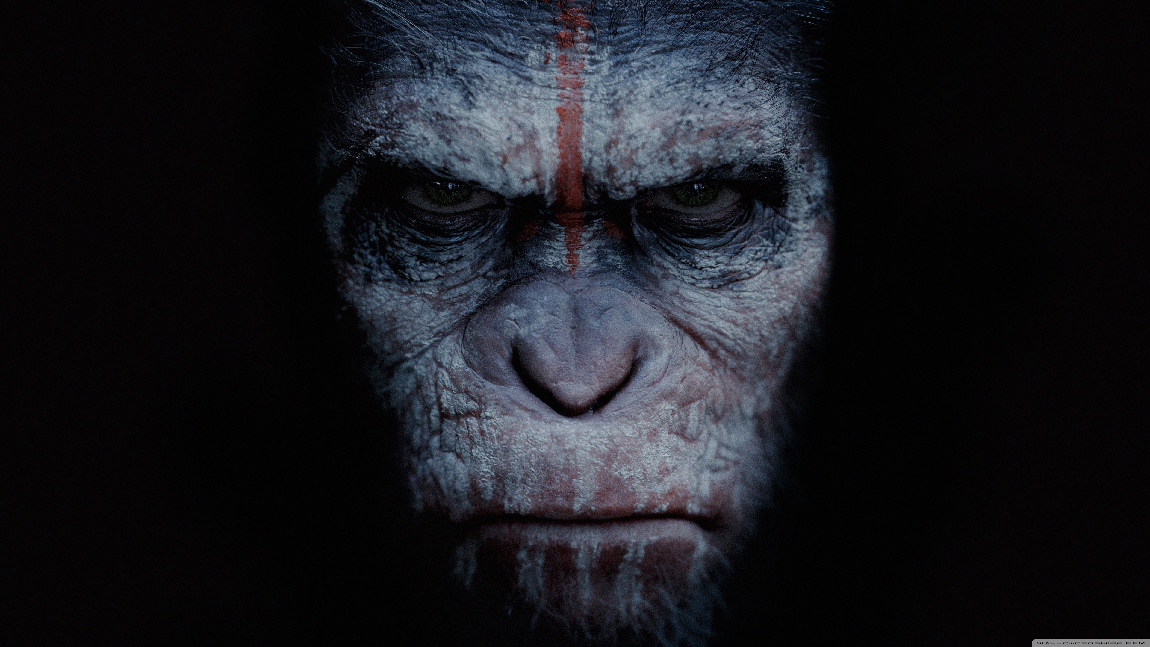 Dawn of the Planet of the Apes Logo Wallpaper