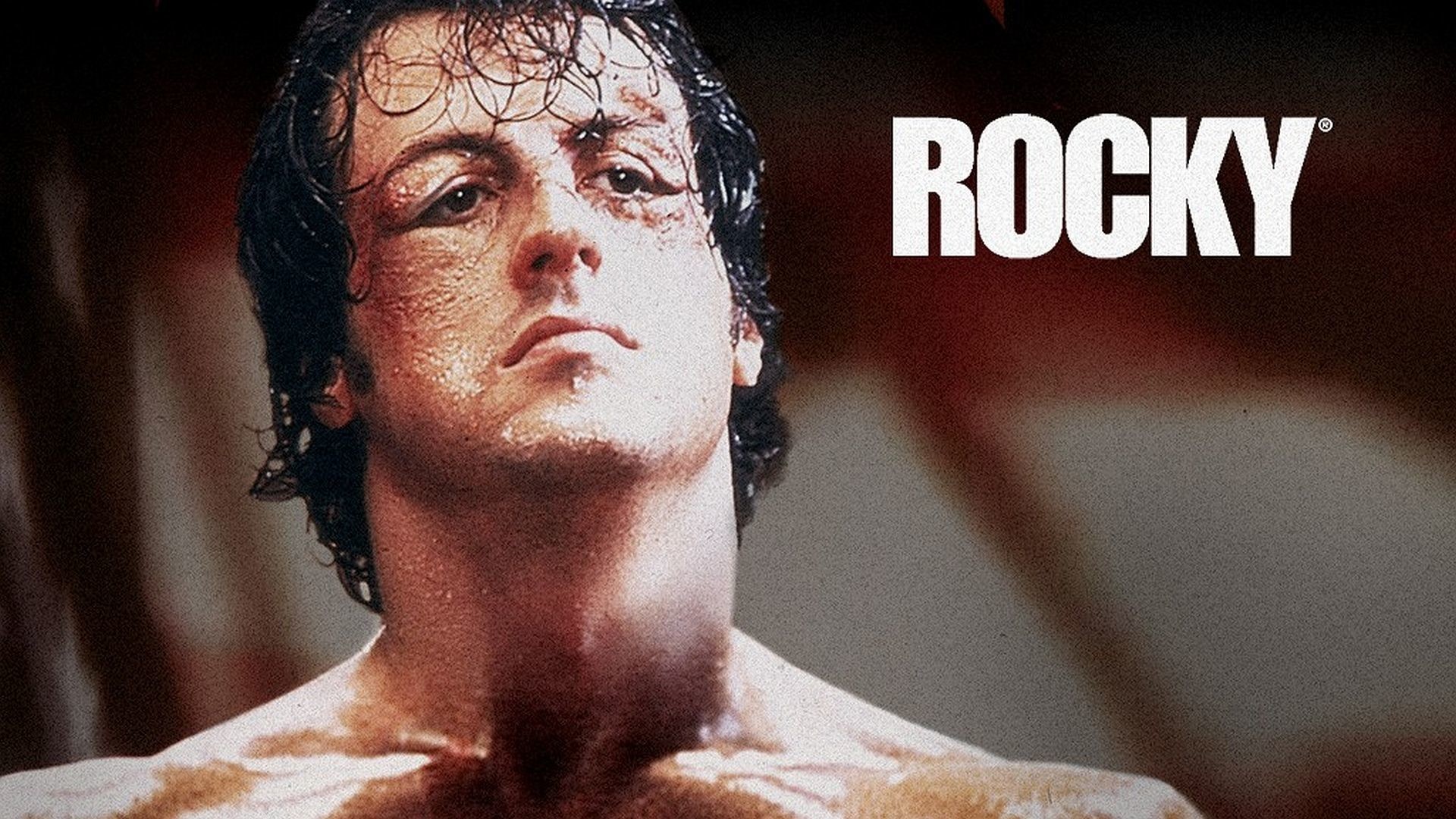 Rocky Picture