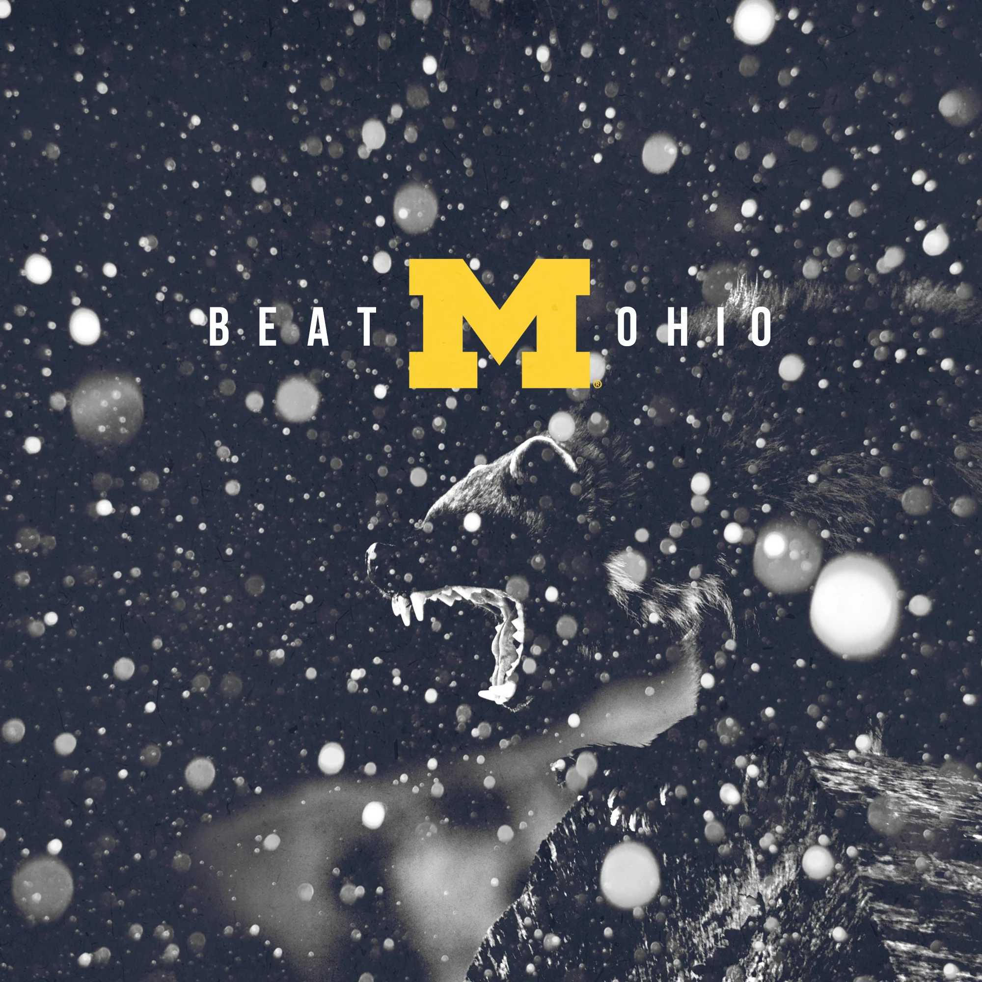 Go Blue – Beat Ohio – square format