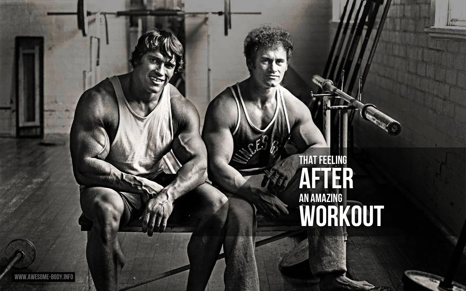 Arnold Schwarzenegger | Workout Motivation | wallpapers