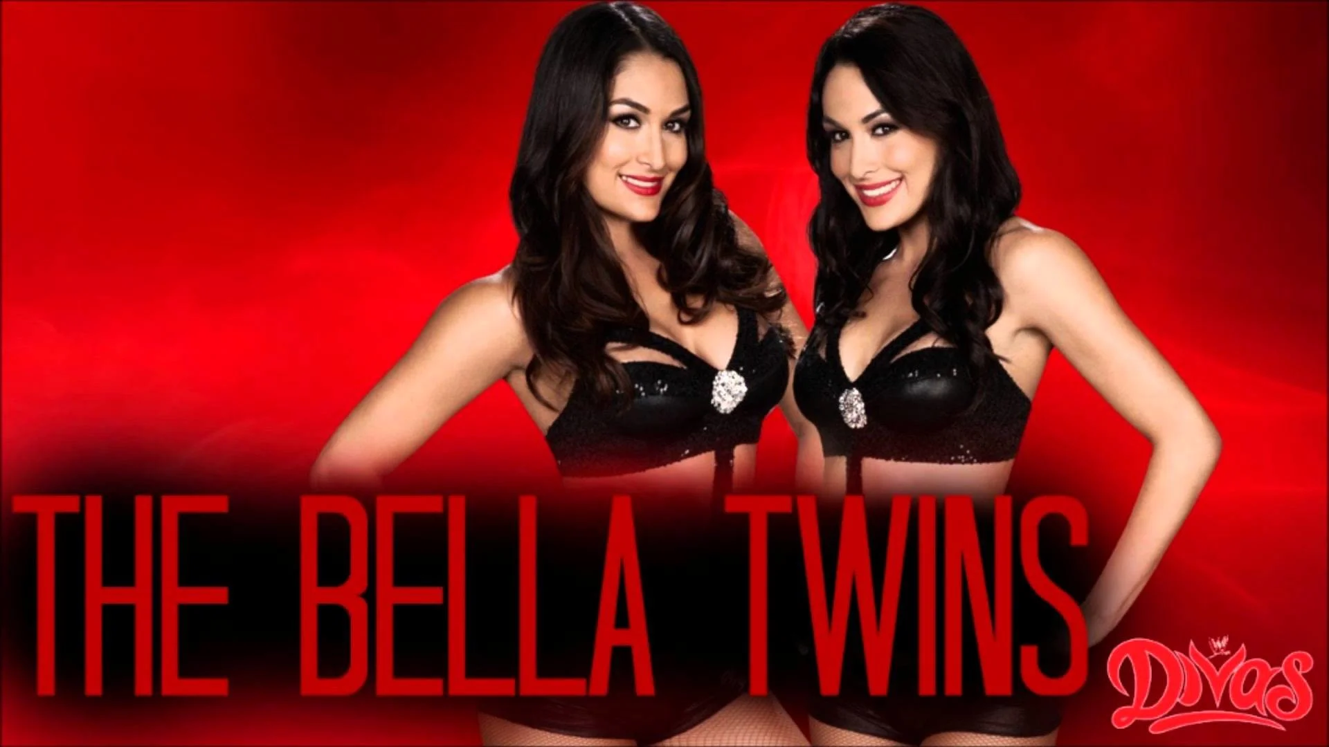 WWE The Bella Twins