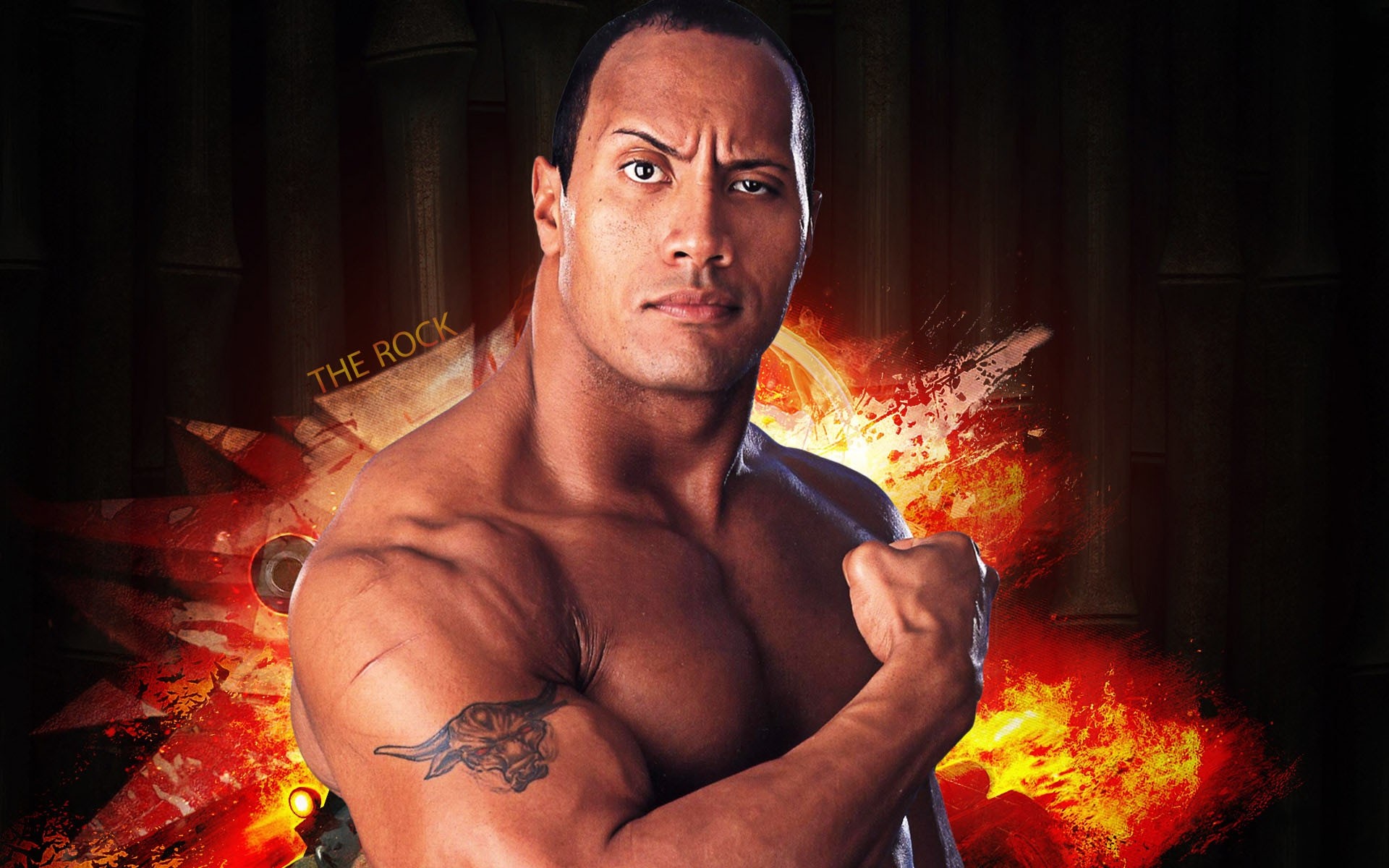 wwe the rock mobile free wallpaper download
