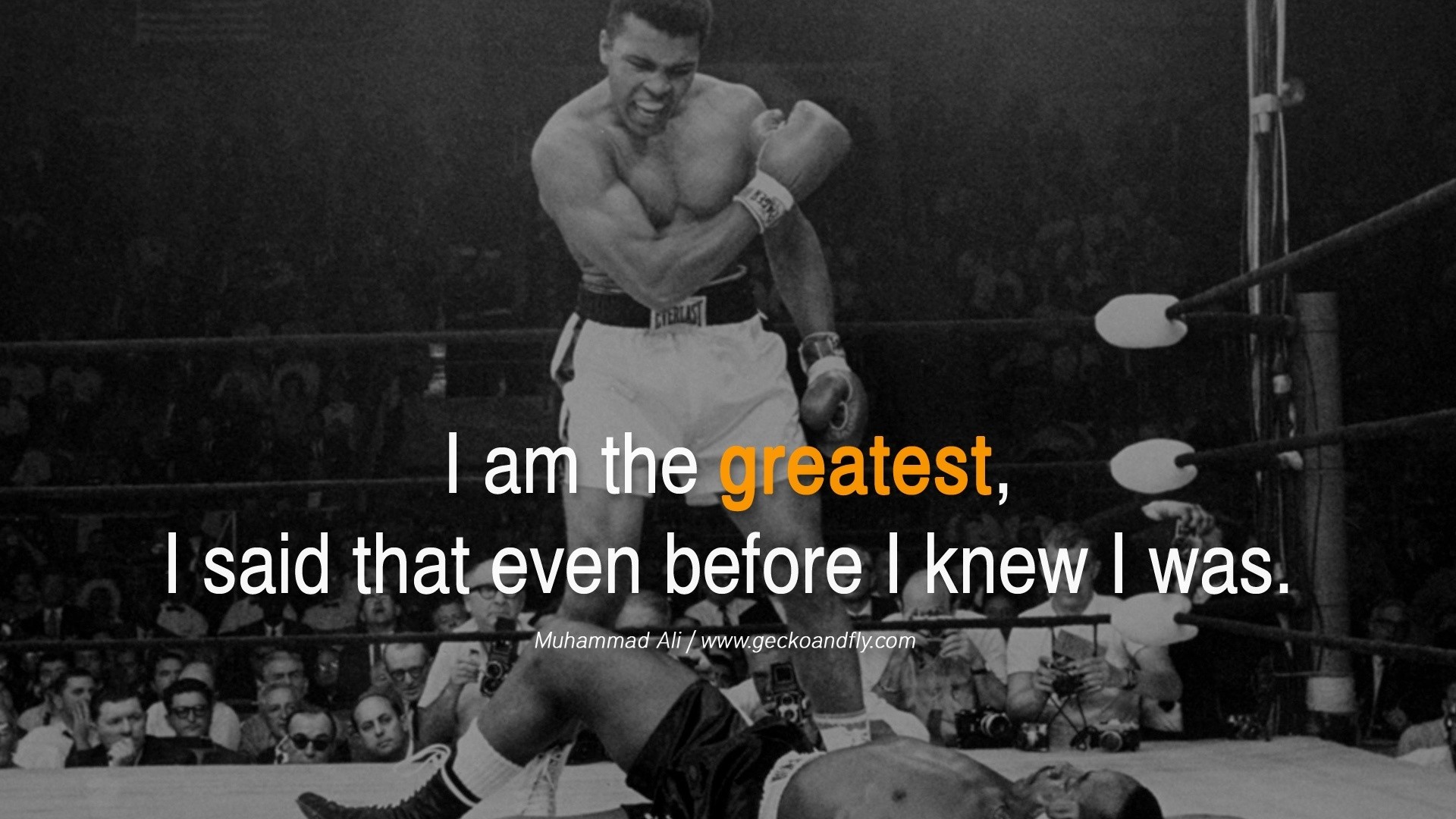 Muhammad Ali Visualizing Success
