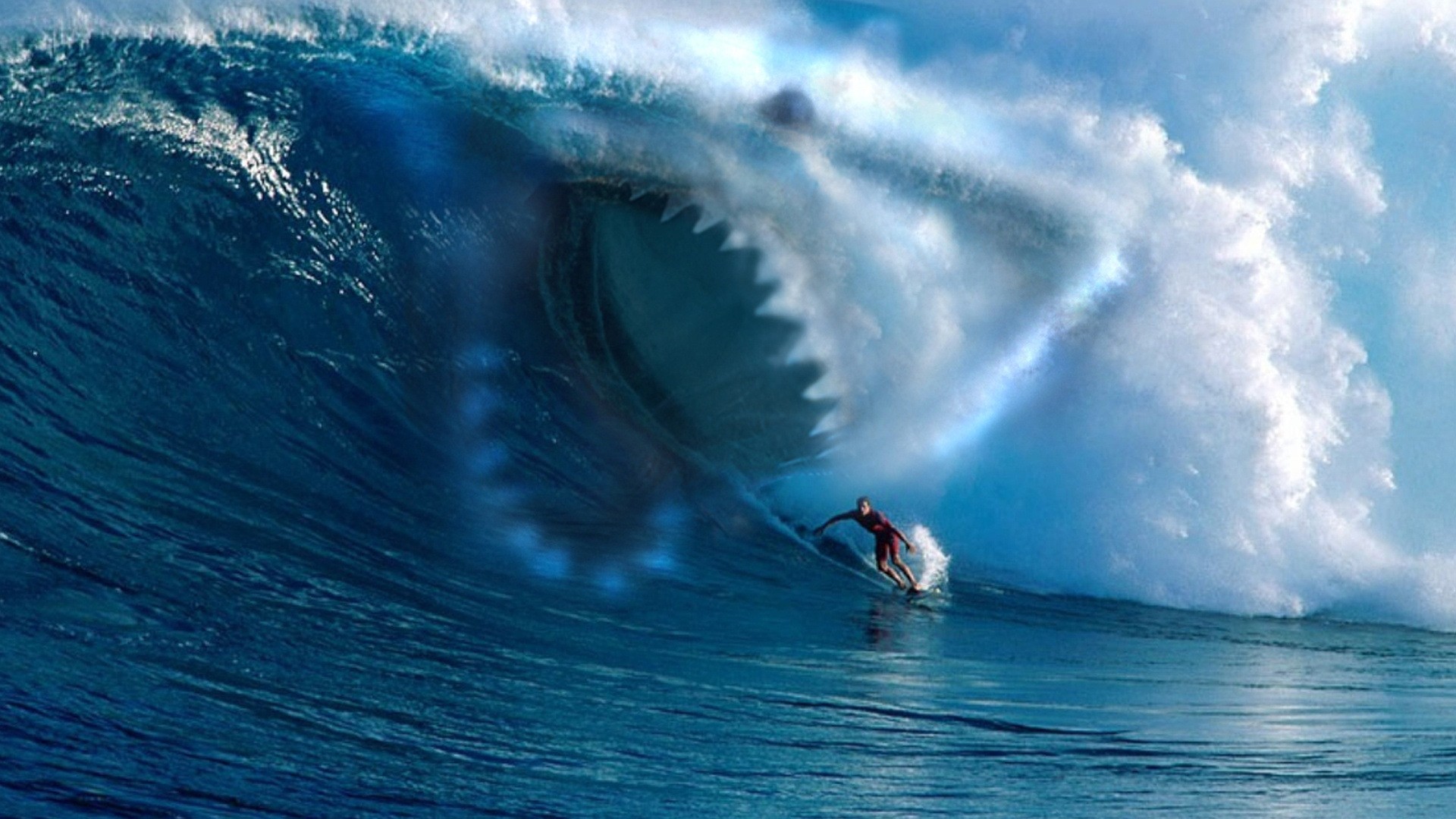 … wave Â· wave, shark, surfing