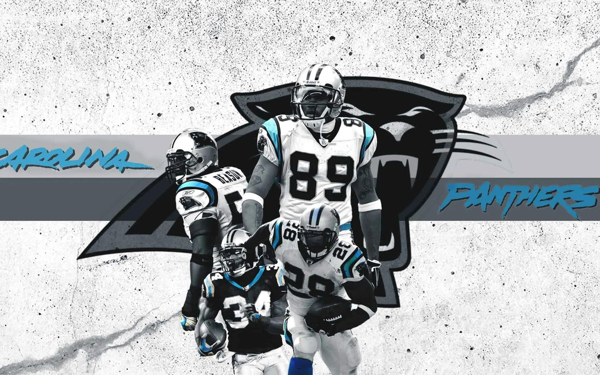 Carolina Panthers Logo Pattern Wallpaper  Fathead Official Site