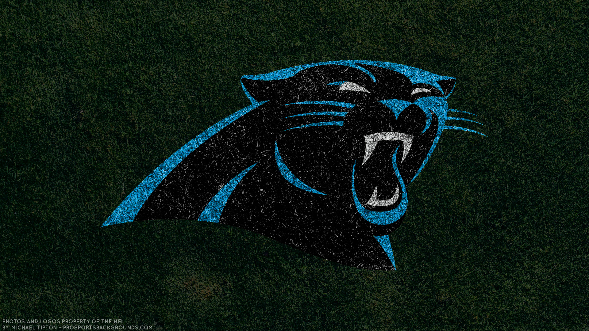 Carolina Panthers 2017 turf football logo wallpaper free pc desktop computer