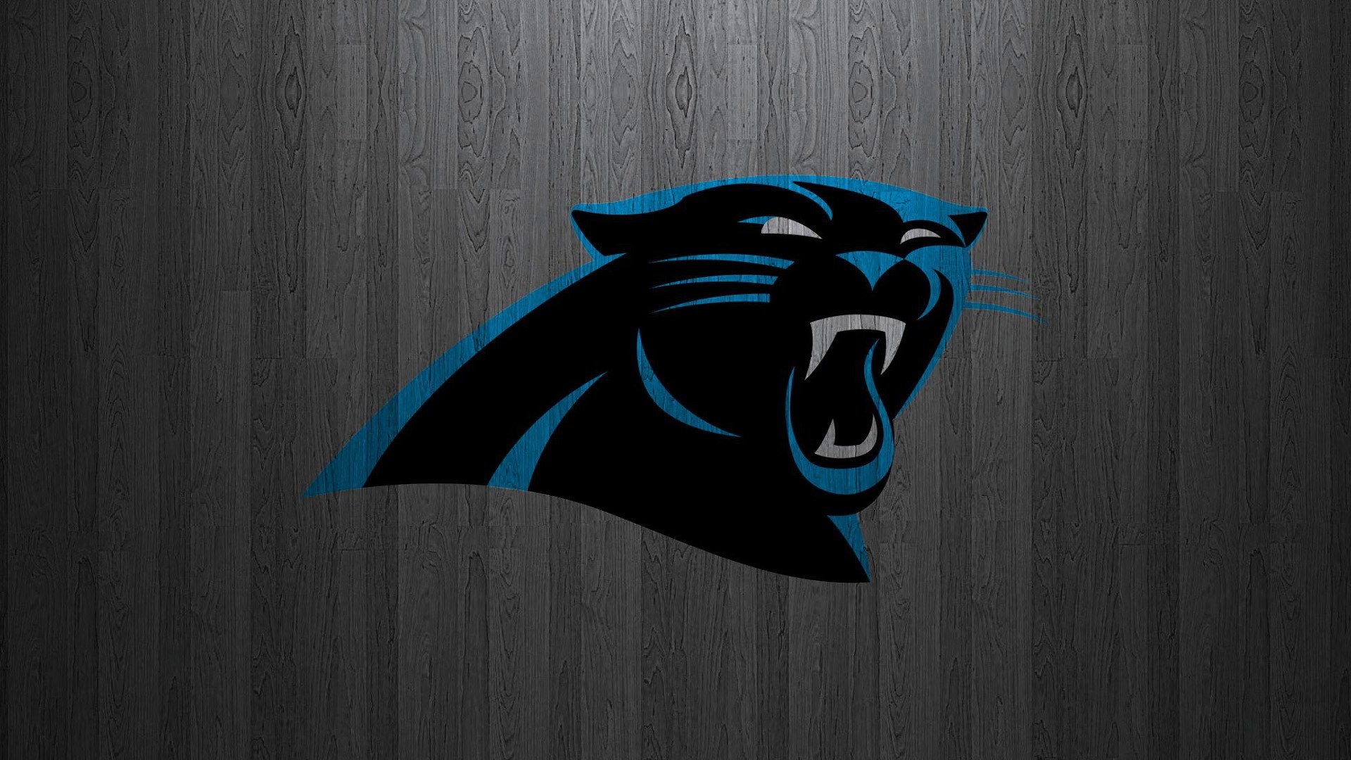 Carolina Panthers Wallpaper by Jdot2daP on DeviantArt