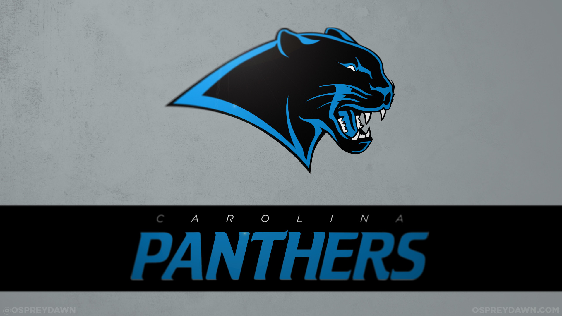 Free download Carolina Panthers Logo wallpapers HD free 411521 [1920x1200]  for your Desktop, Mobile & Tablet, Explore 50+ Free Carolina Panthers  Wallpaper