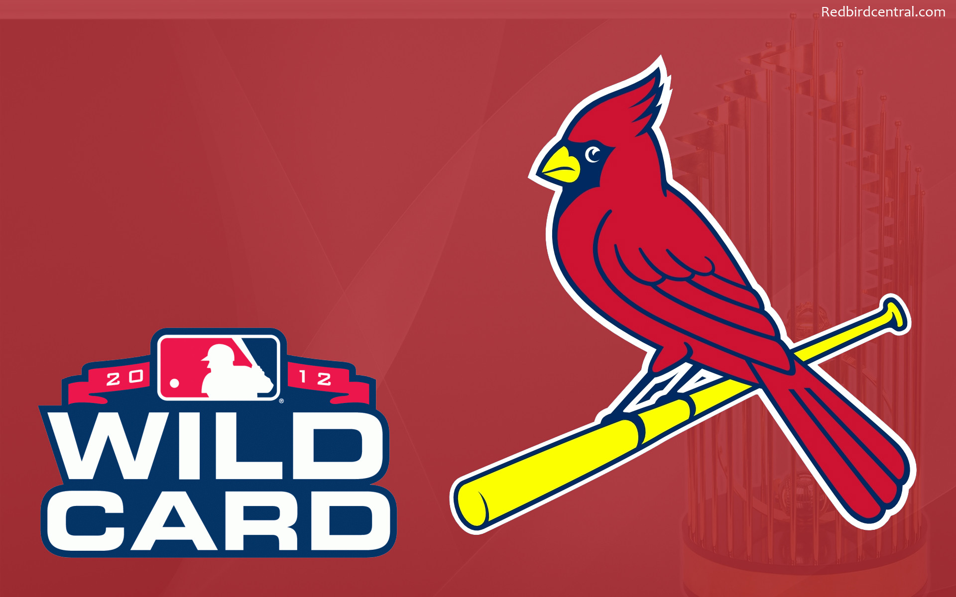 ST LOUIS CARDINALS baseball mlb dg wallpaper 159453 WallpaperUP