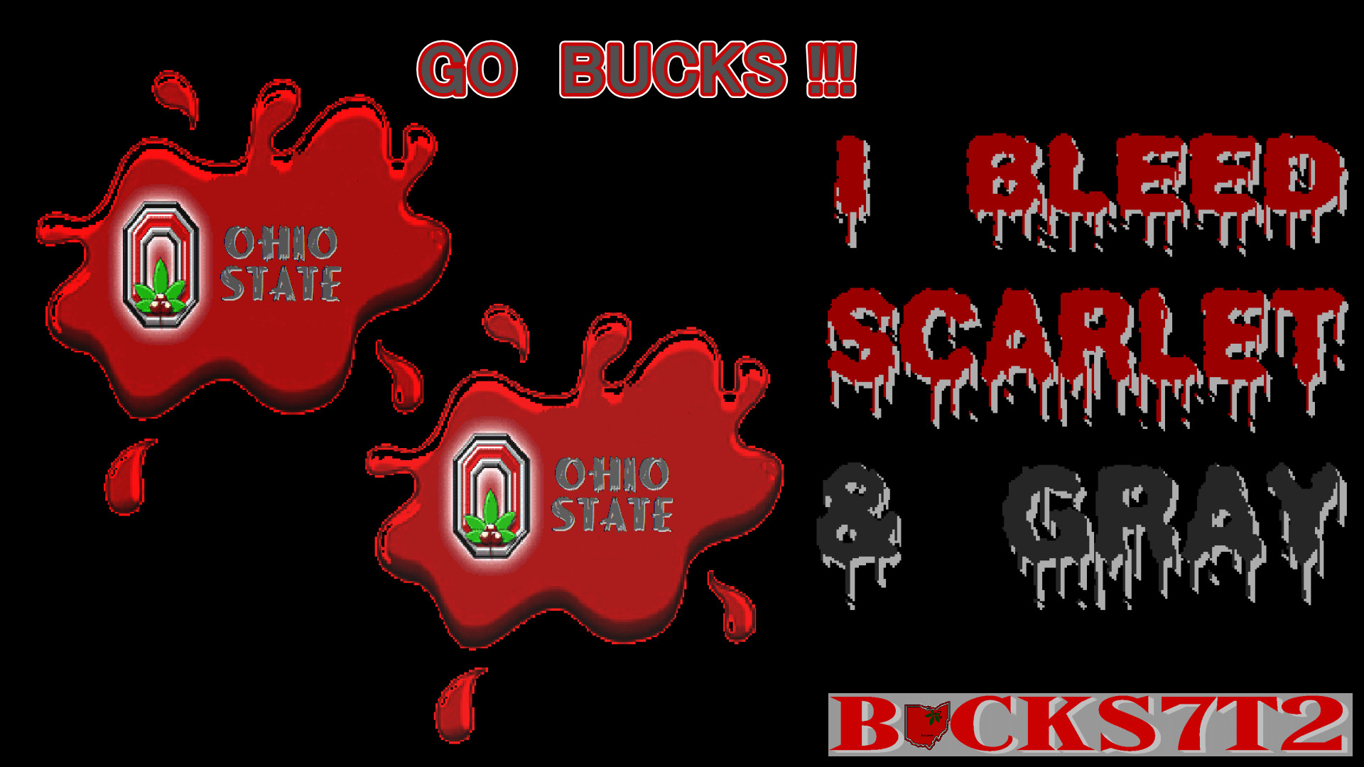 Ohio State Buckeyes images I BLEED SCARLET & GRAY HD wallpaper and  background photos