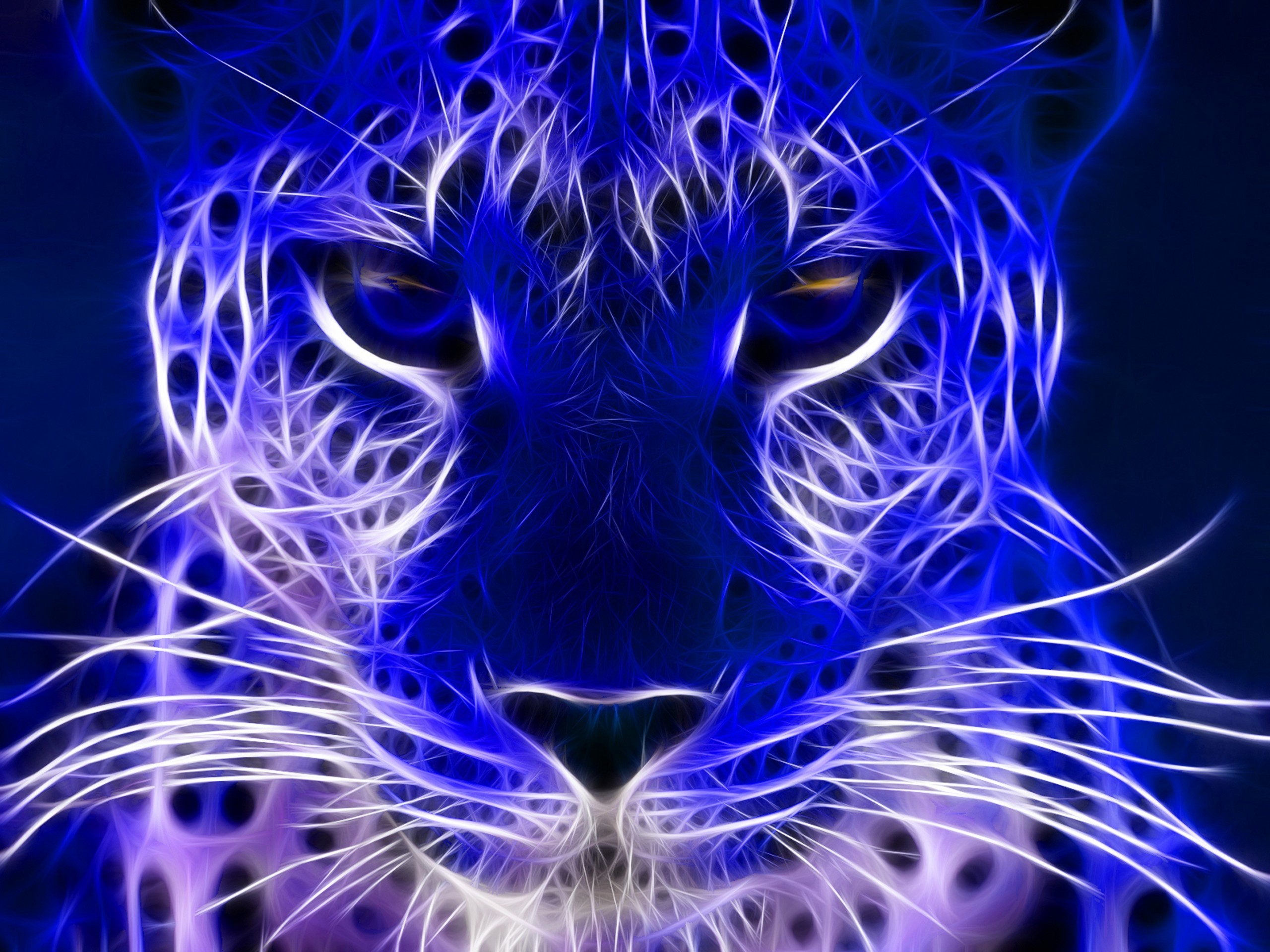 Animals Blue Cheetah Cat Cats Jooti Most Wallpaper, HQ Backgrounds .