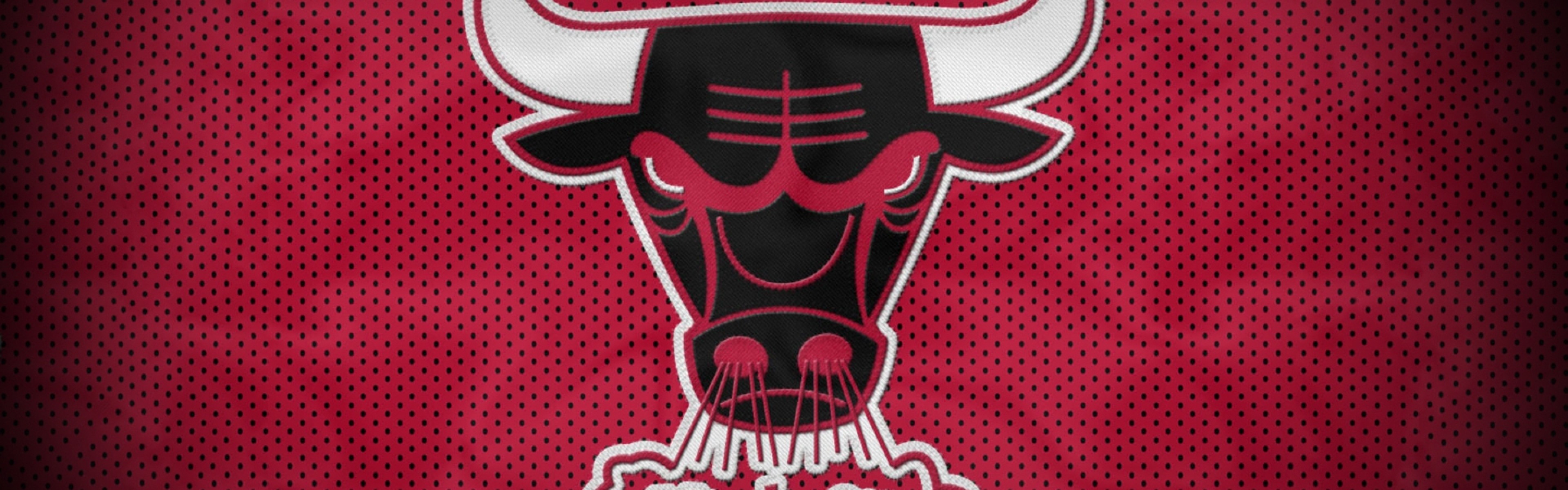 Wallpaper chicago bulls, bull, basketball, club, sport