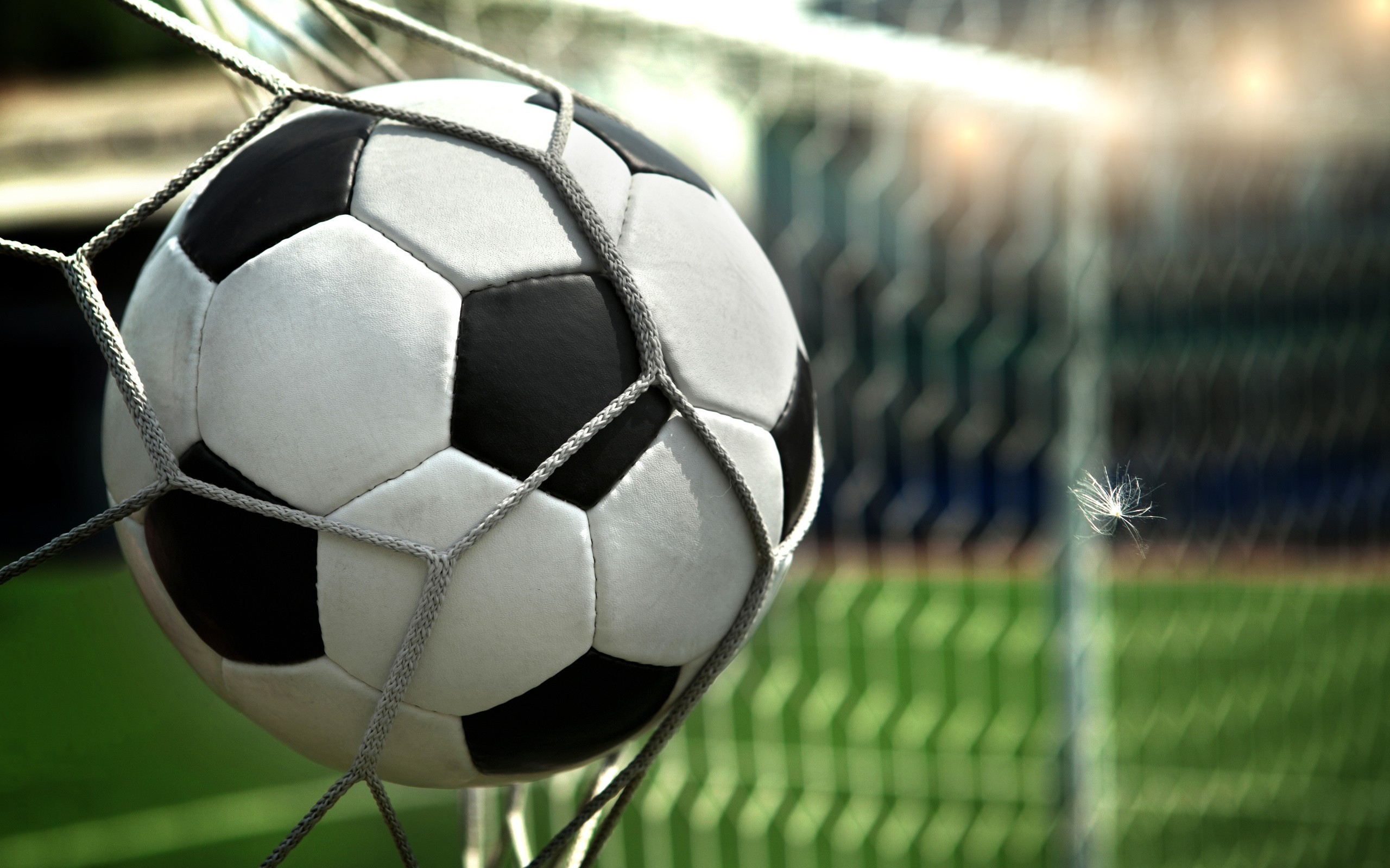 Wallpaper Feather, Football, Goal, Ball, Net