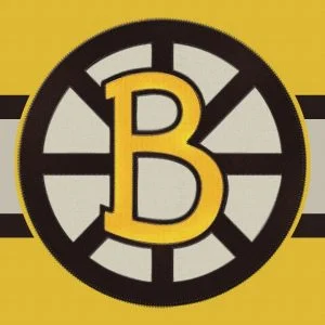 Boston Bruins Phone