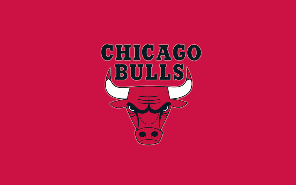 64+ 3D Chicago Bulls