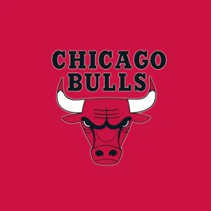 3D Chicago Bulls