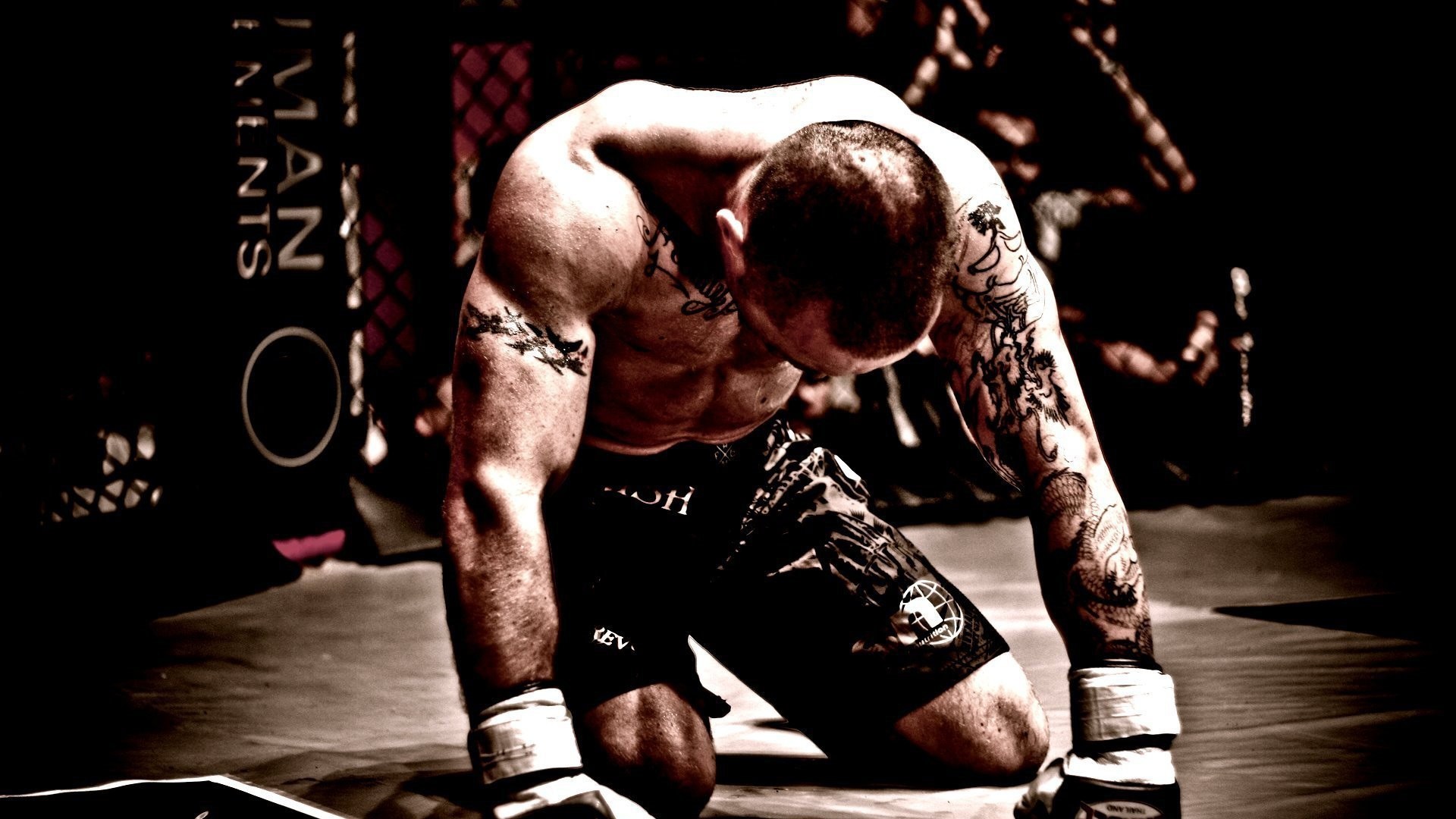 Preview wallpaper mma, mixed martial arts, fighter, fighter, tattoos  1920×1080