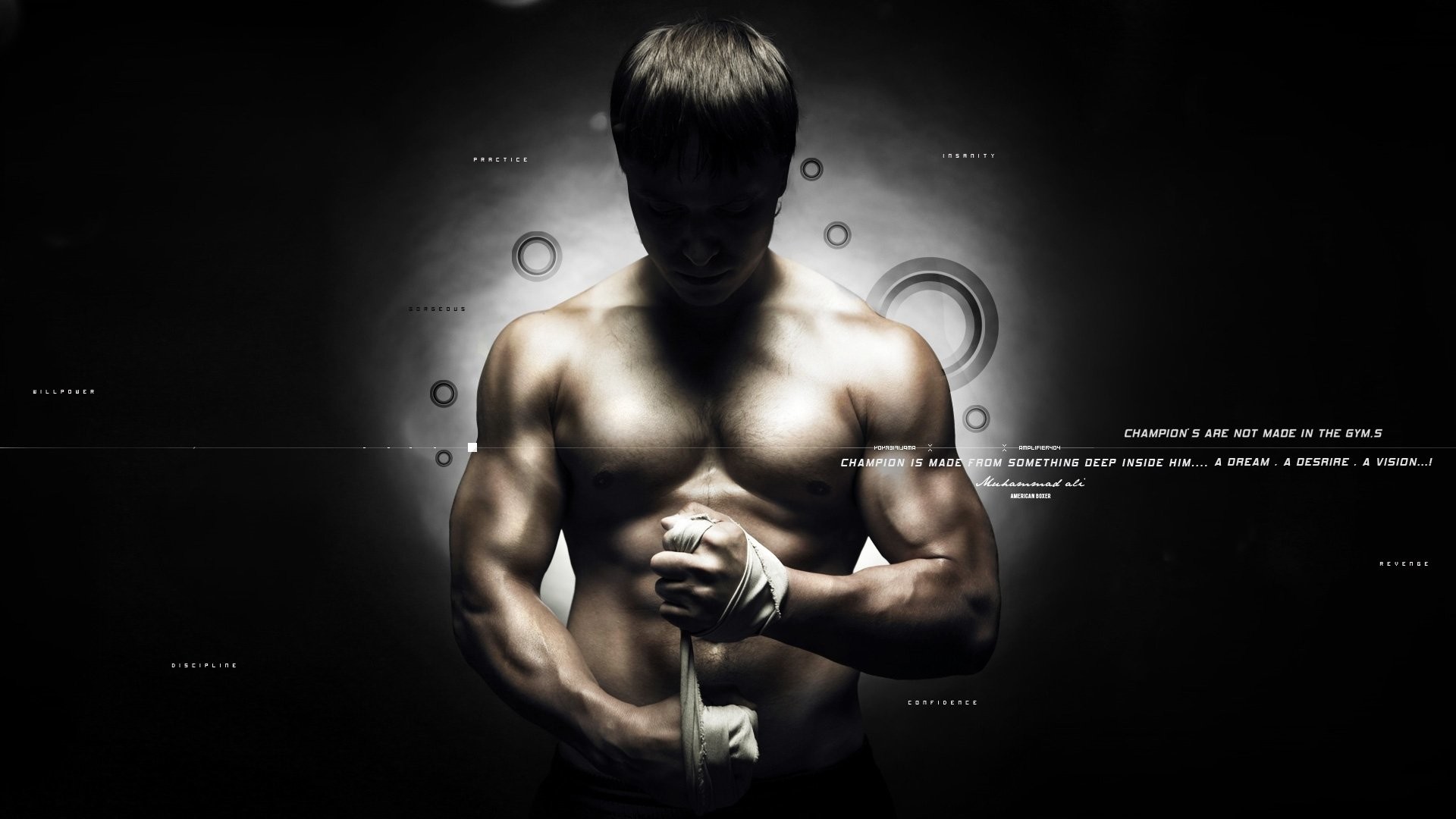 HD Wallpaper Background ID202715. Sports MMA