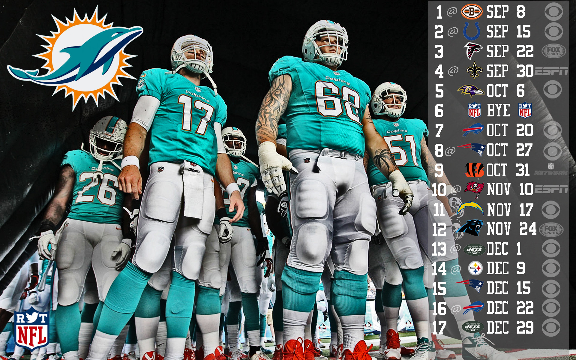 2013 Miami Dolphins football nfl g wallpaper background