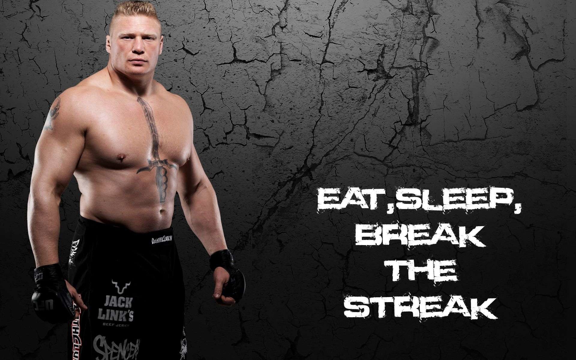 Search Results for “rena lesnar wallpapers” – Adorable Wallpapers