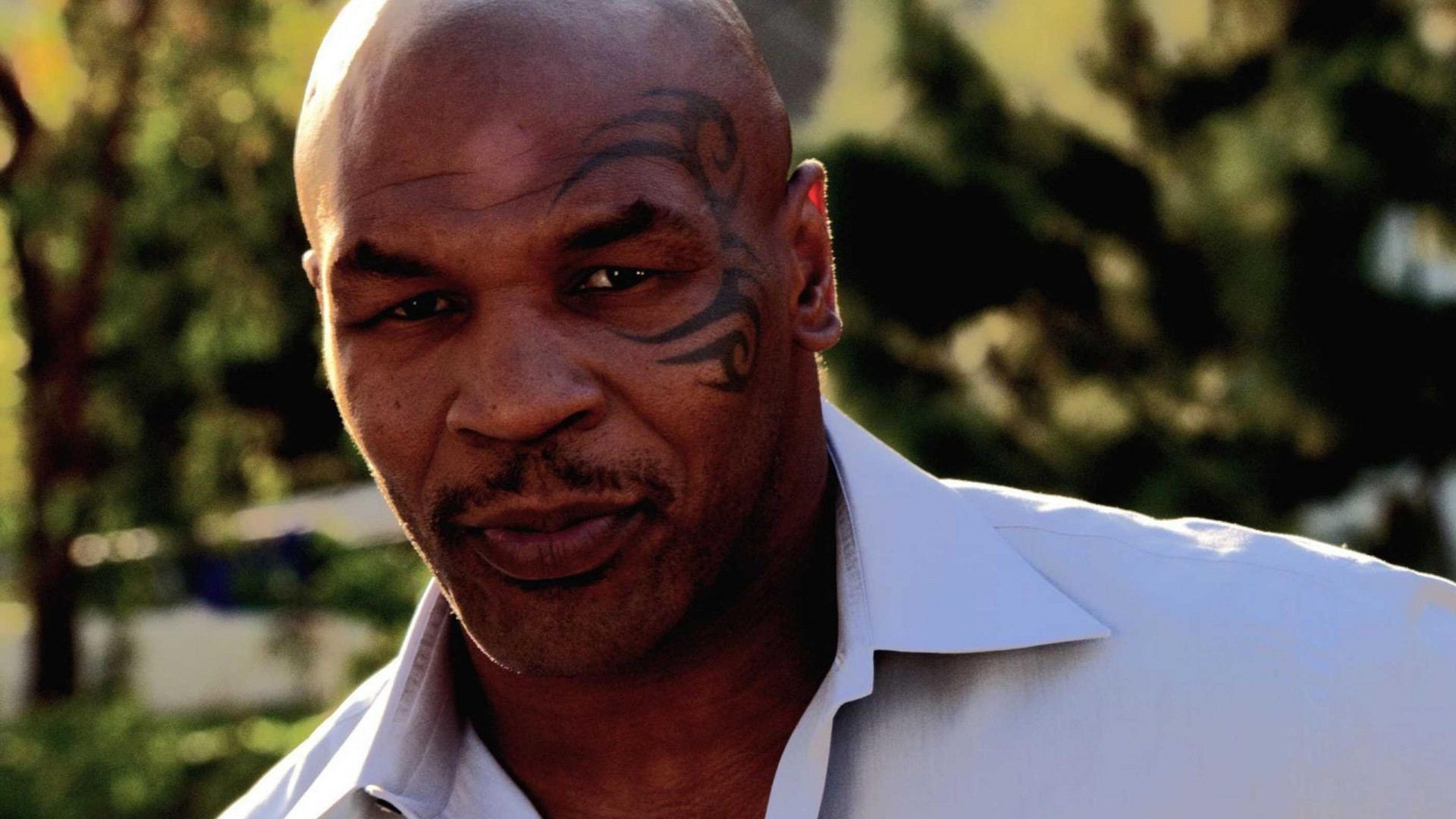 The Wallpapers Mike Tyson