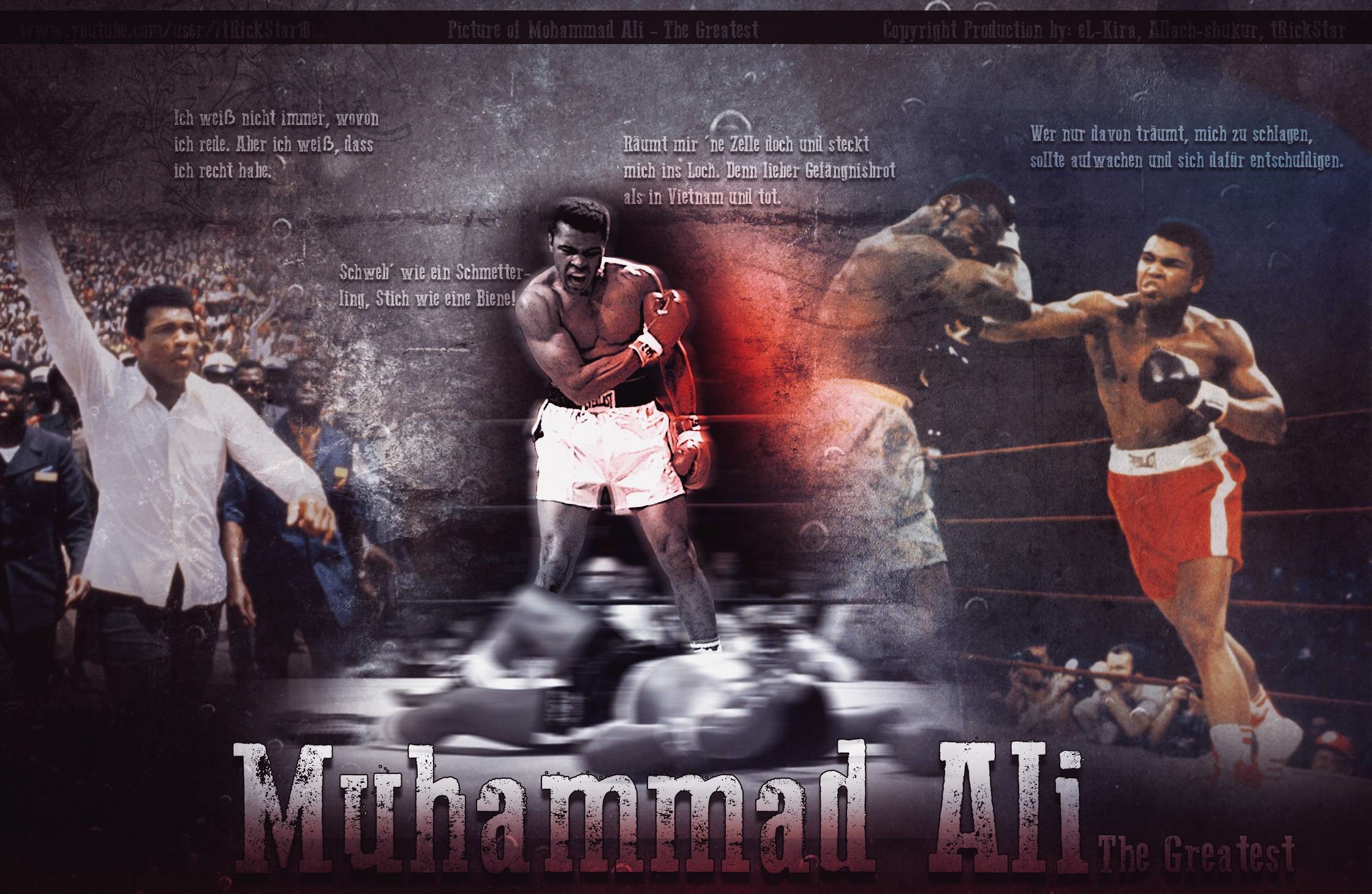 Muhammad Ali 2014 Wallpaper Wide or HD | Male Celebrities Wallpapers
