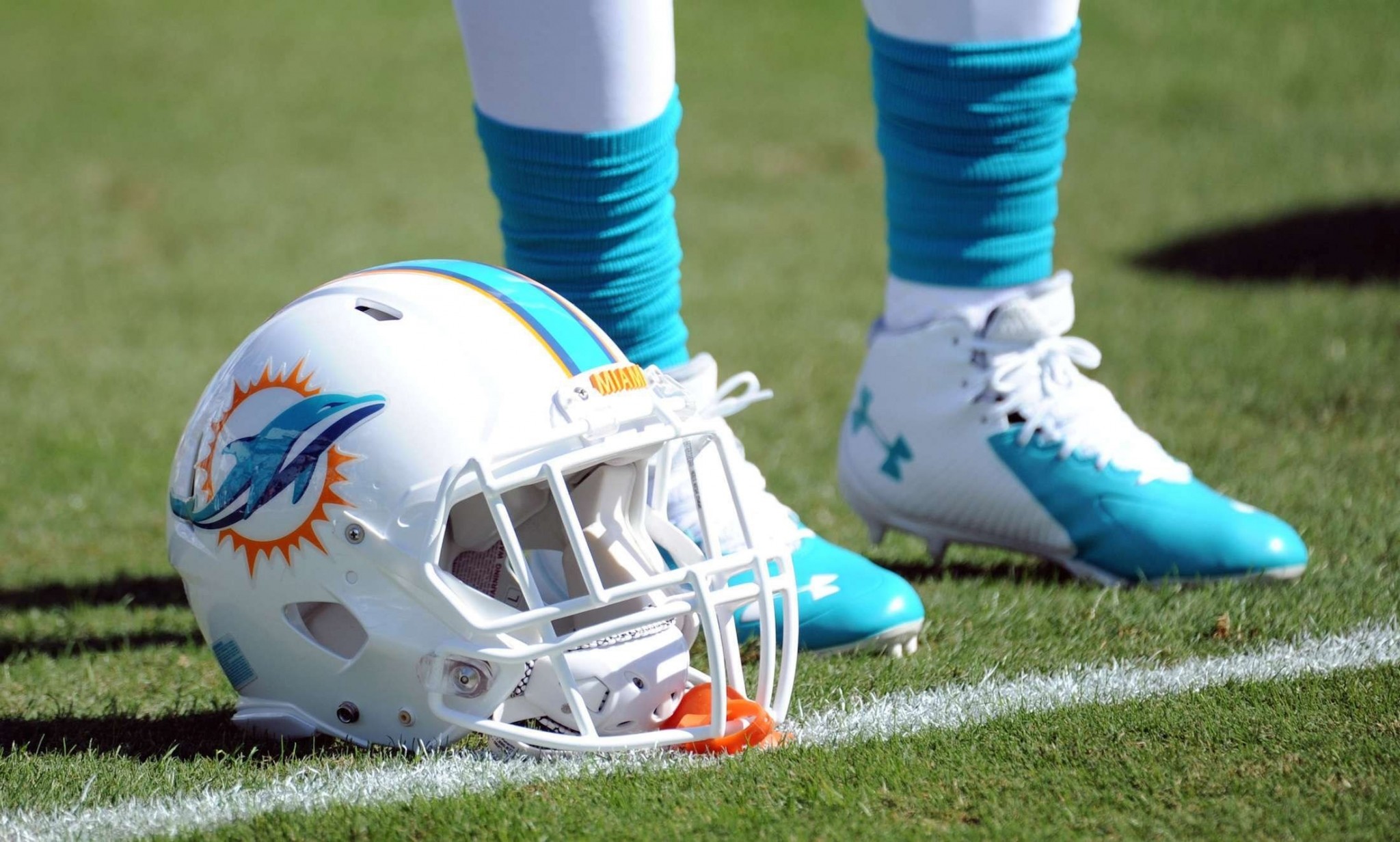 Miami dolphins hd widescreen wallpapers backgrounds