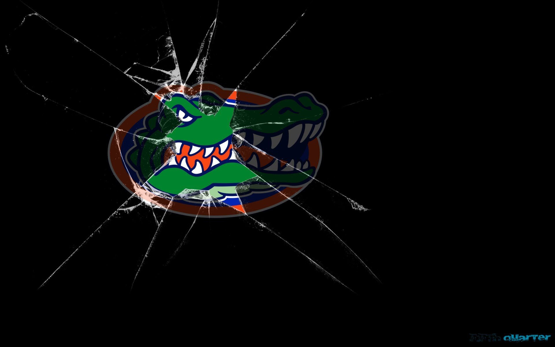 Florida Gators Football Wallpaper
