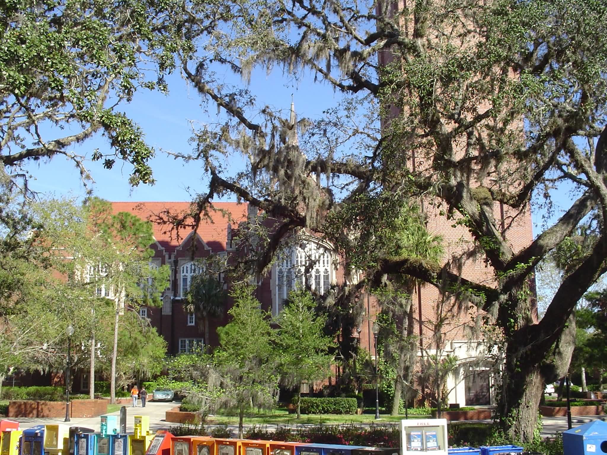 University of Florida campus