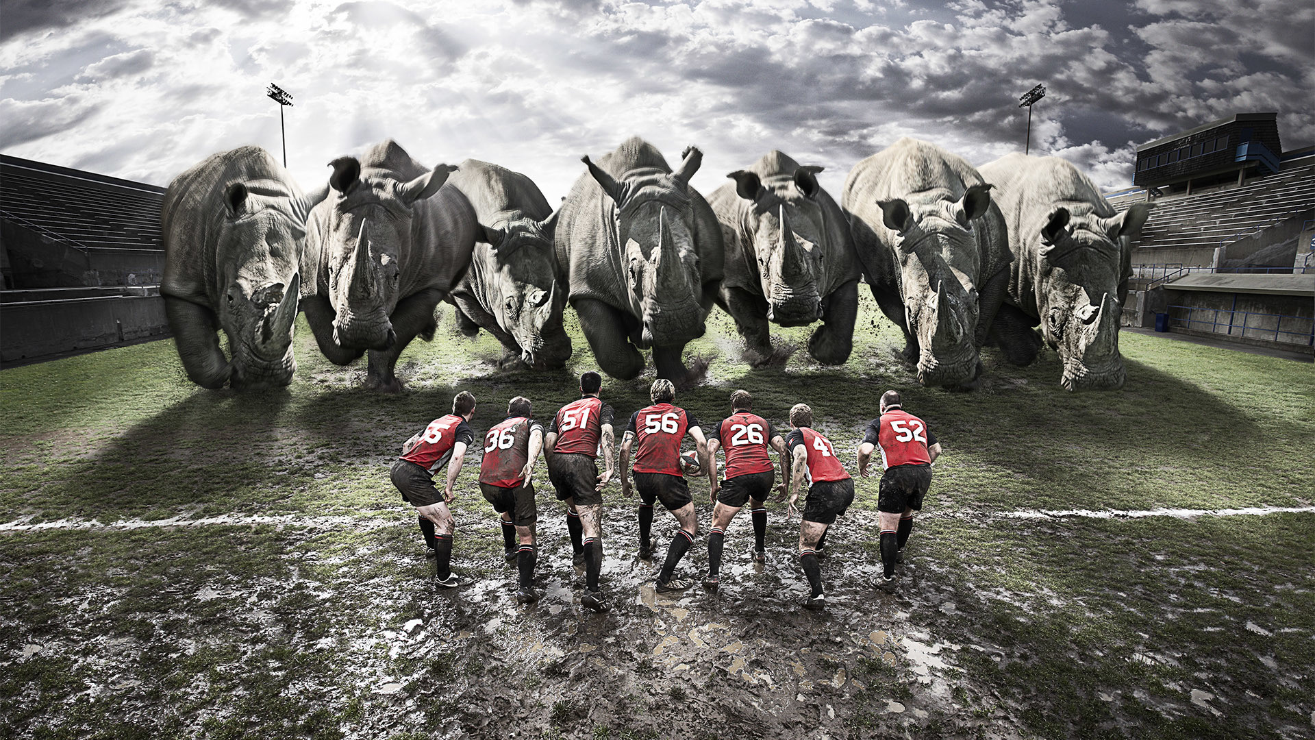 Preview wallpaper rugby, team, rhinos, dirt, field 1920×1080