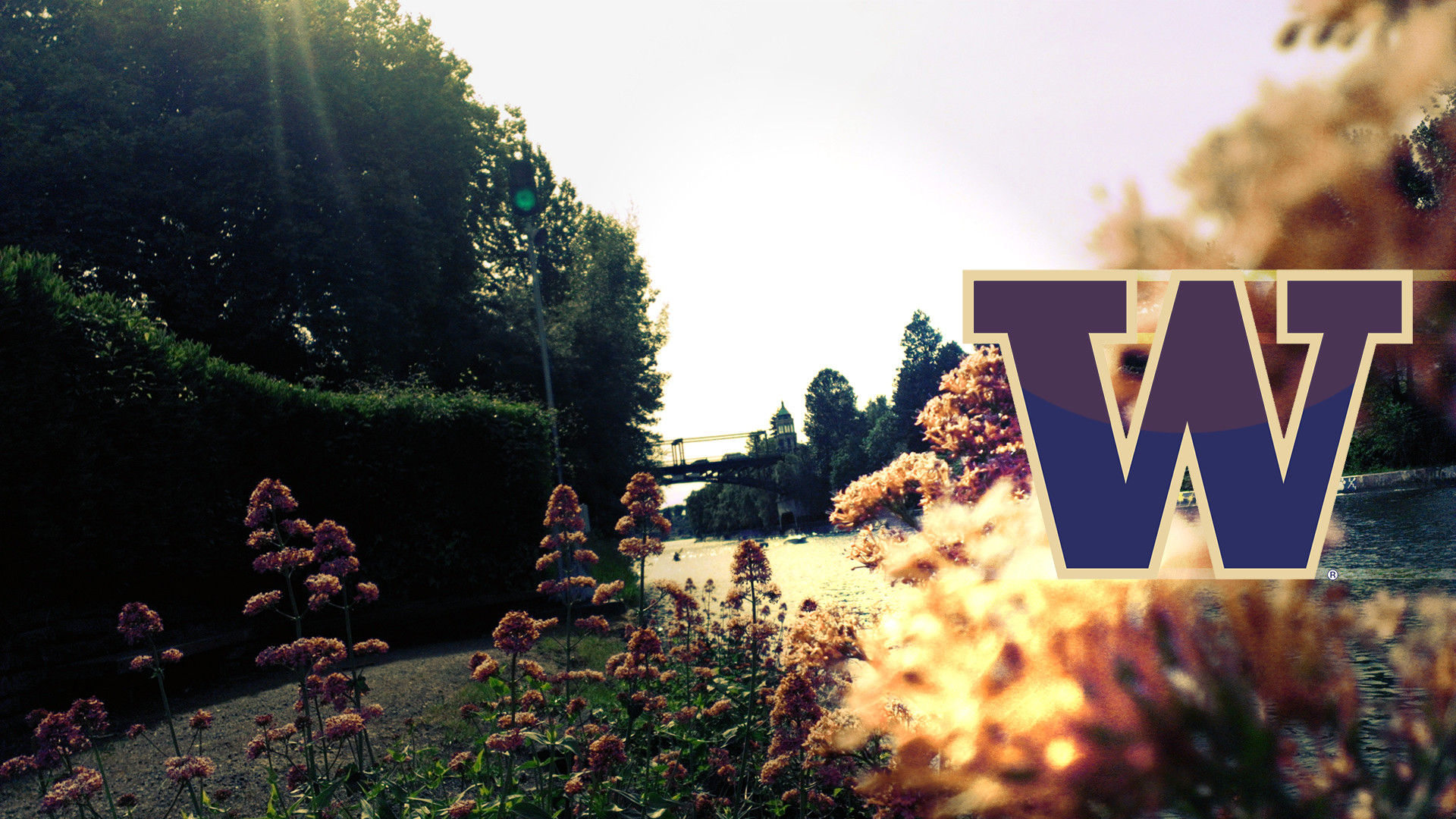 University of Washington Wallpaper